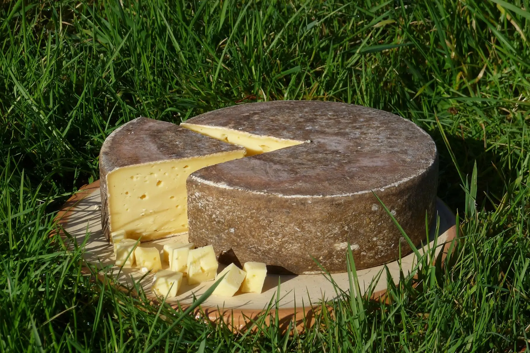 refrain jeune portion