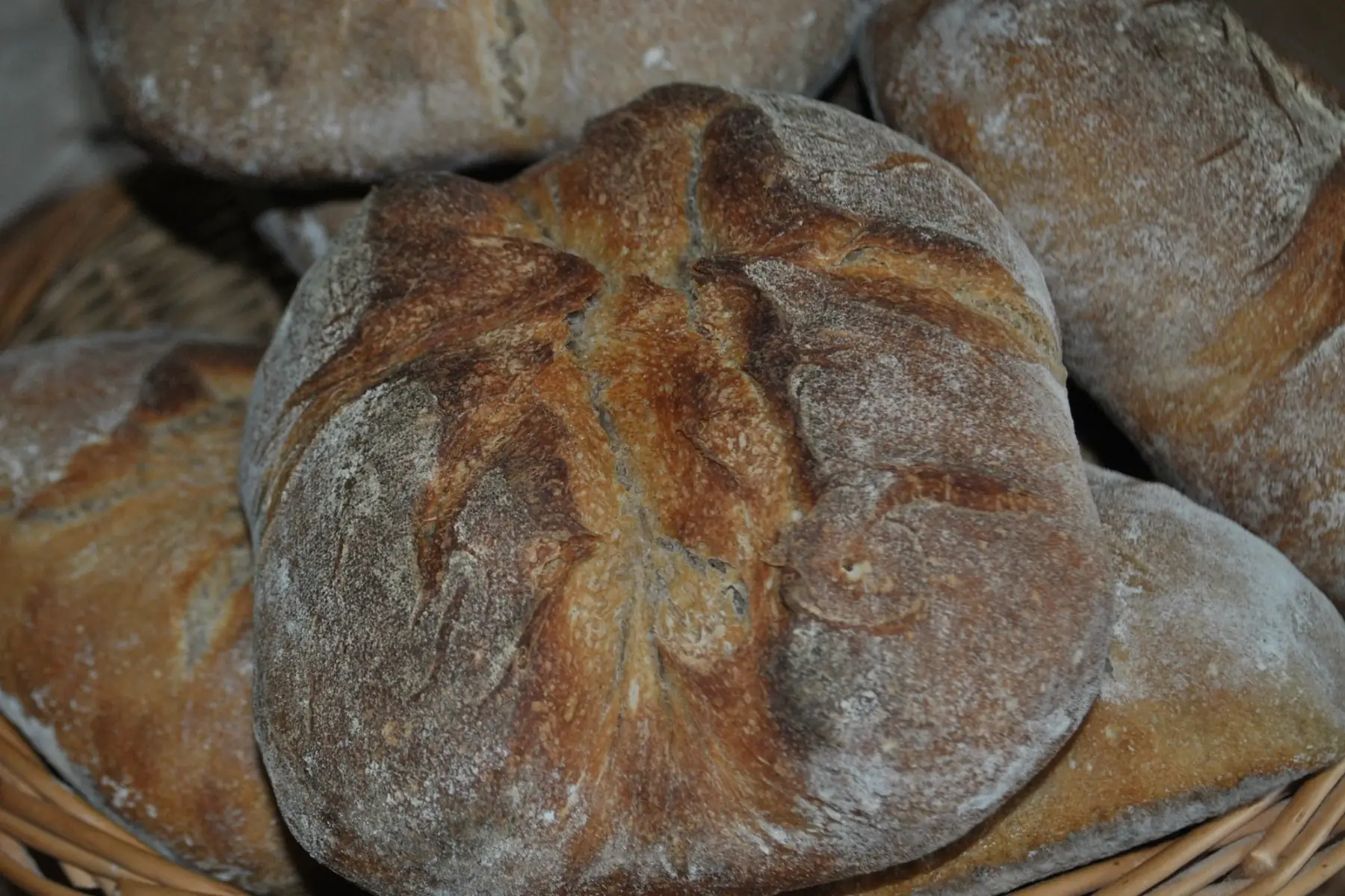 pain de campagne