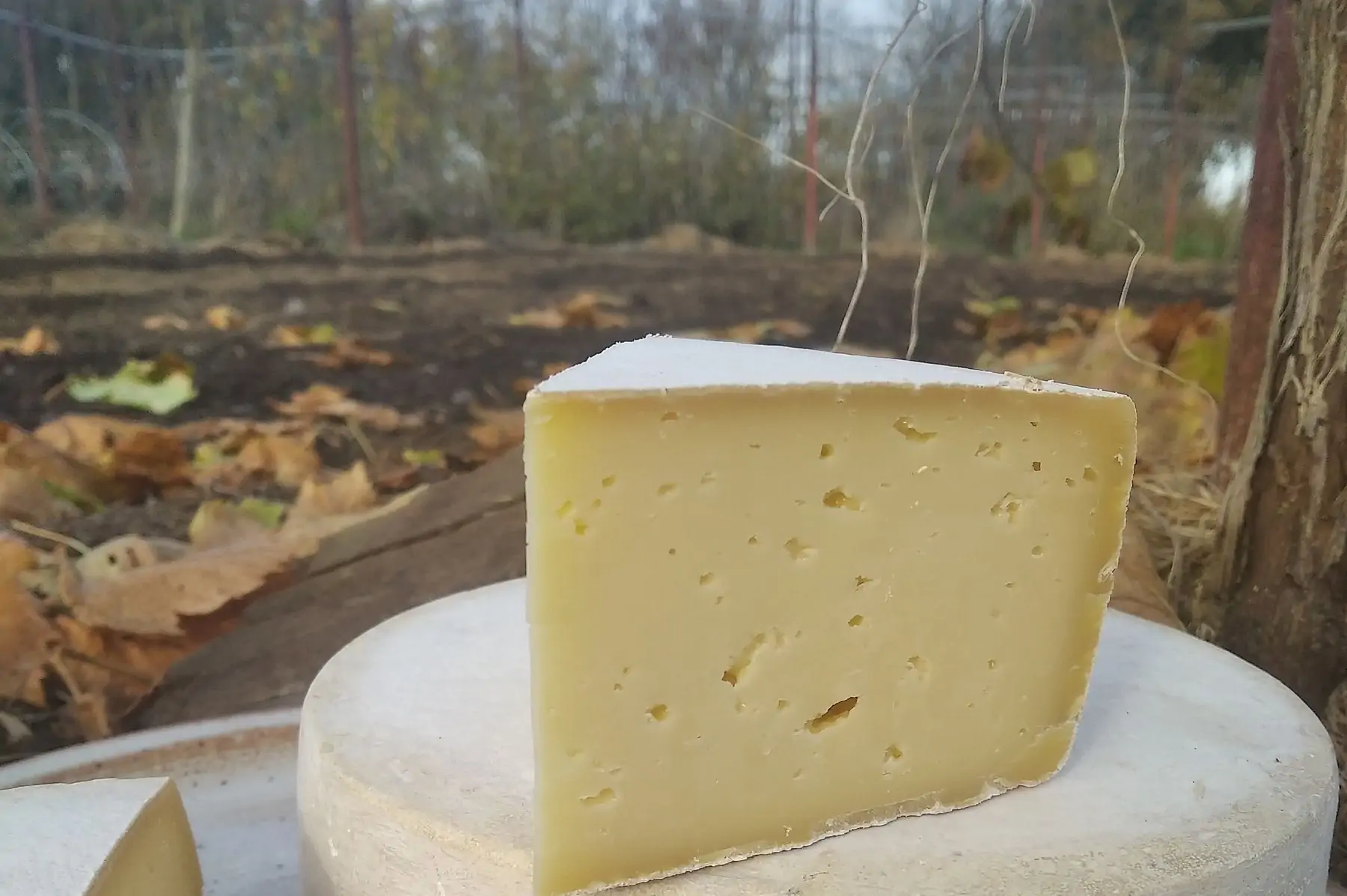 fromage fermier le refrain