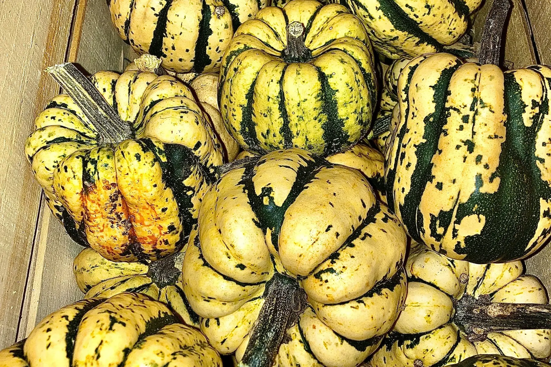 Les Jardins Voyageurs / Isabelle Perron