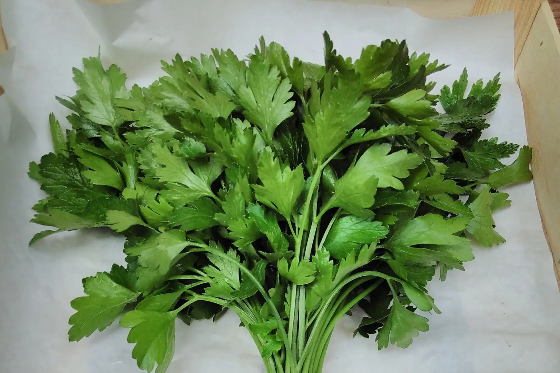 persil plat