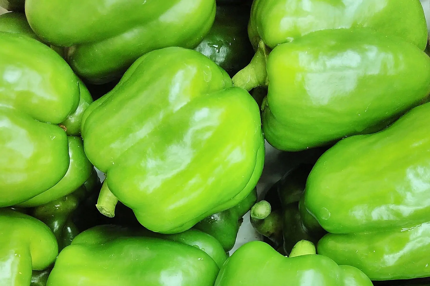 poivron vert