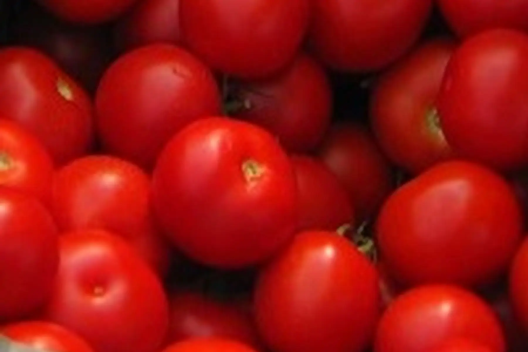 * tomate cageot