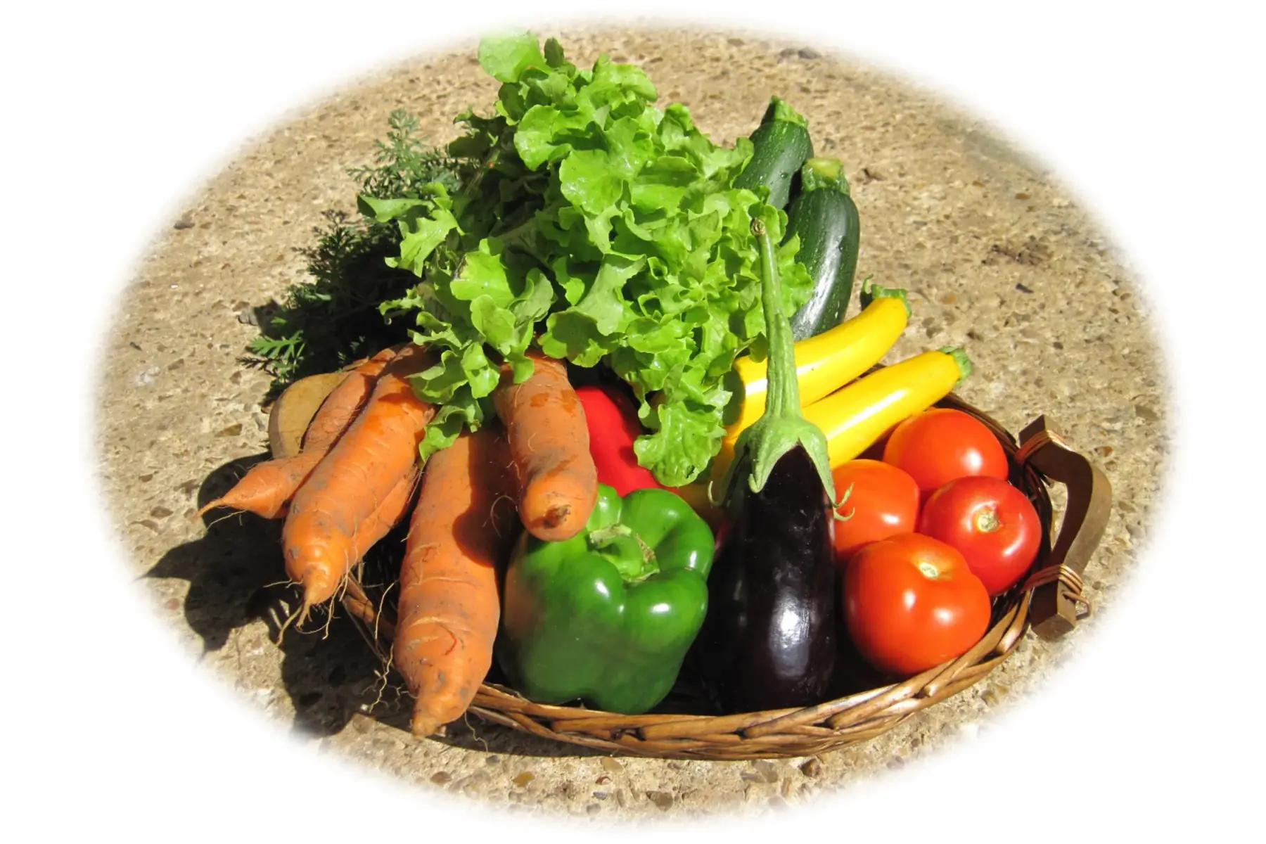 * panier du potager