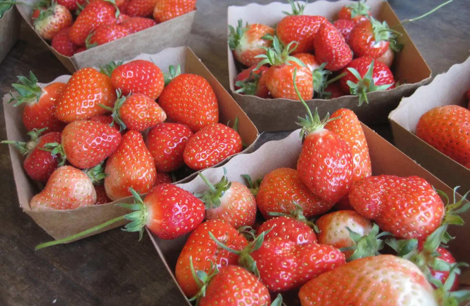 Fraise