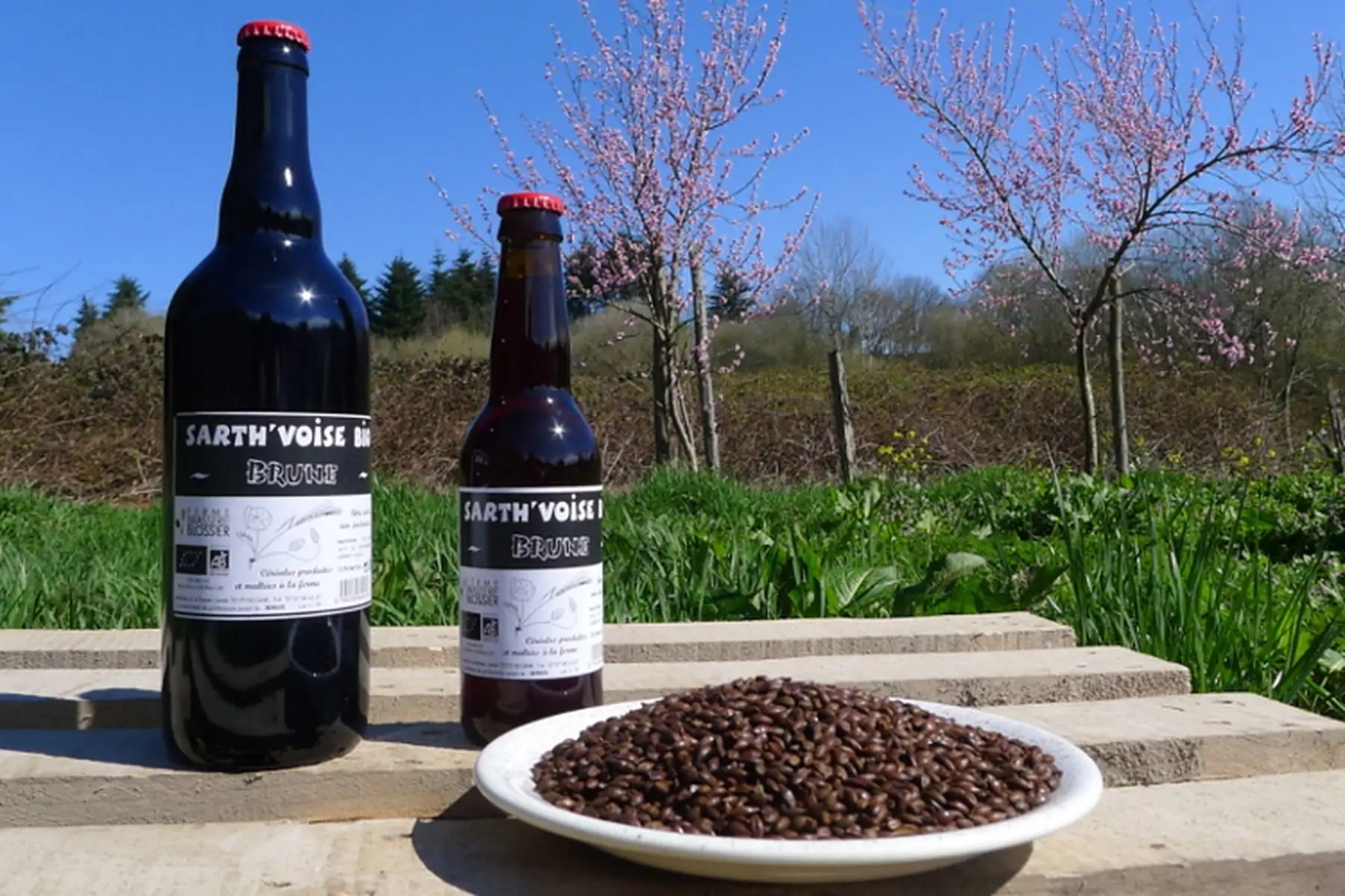 bière sarth'voise bio brune
