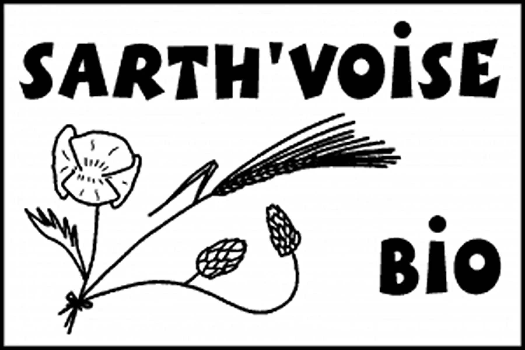 bière sarth'voise bio grand-cru