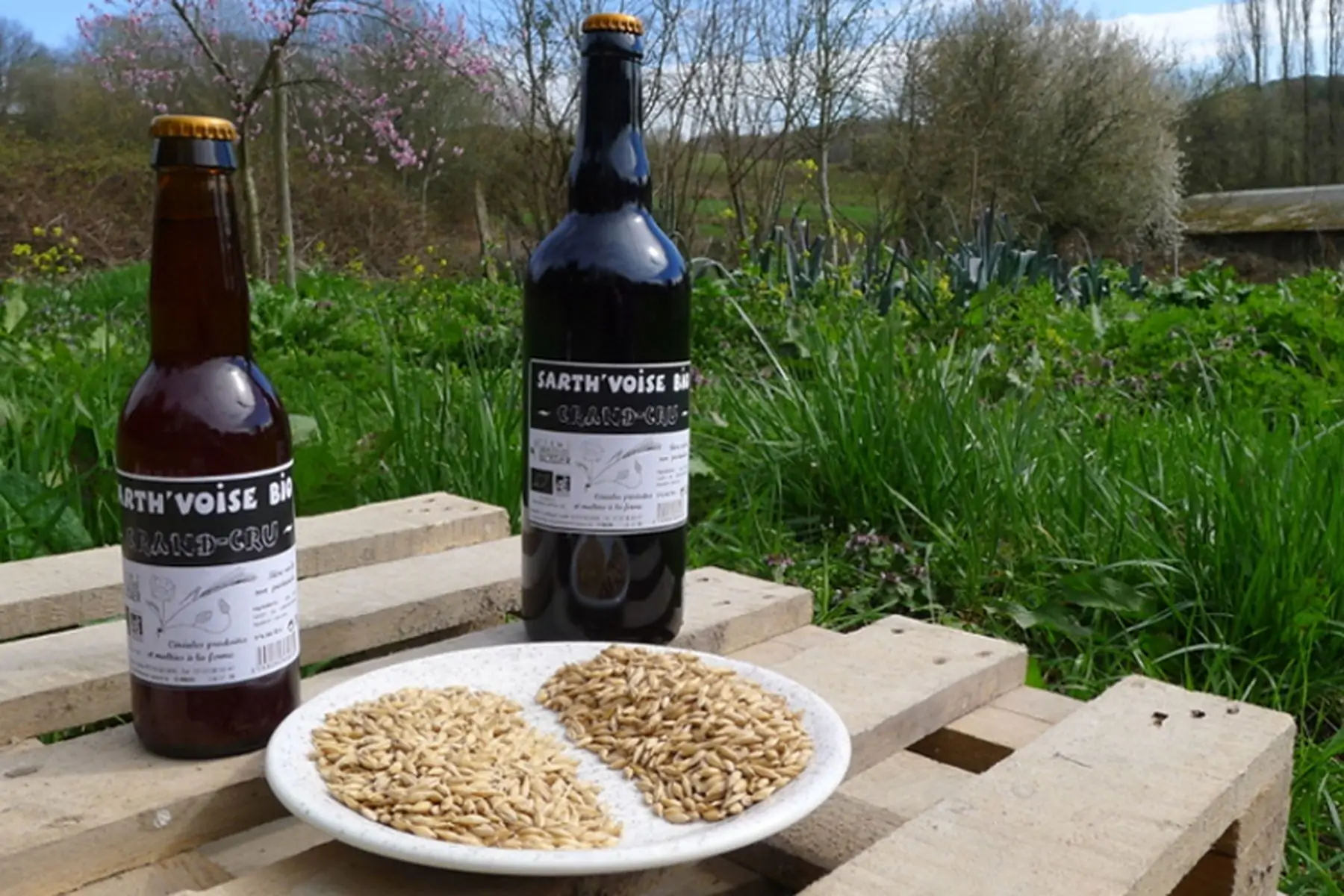bière sarth'voise bio grand-cru