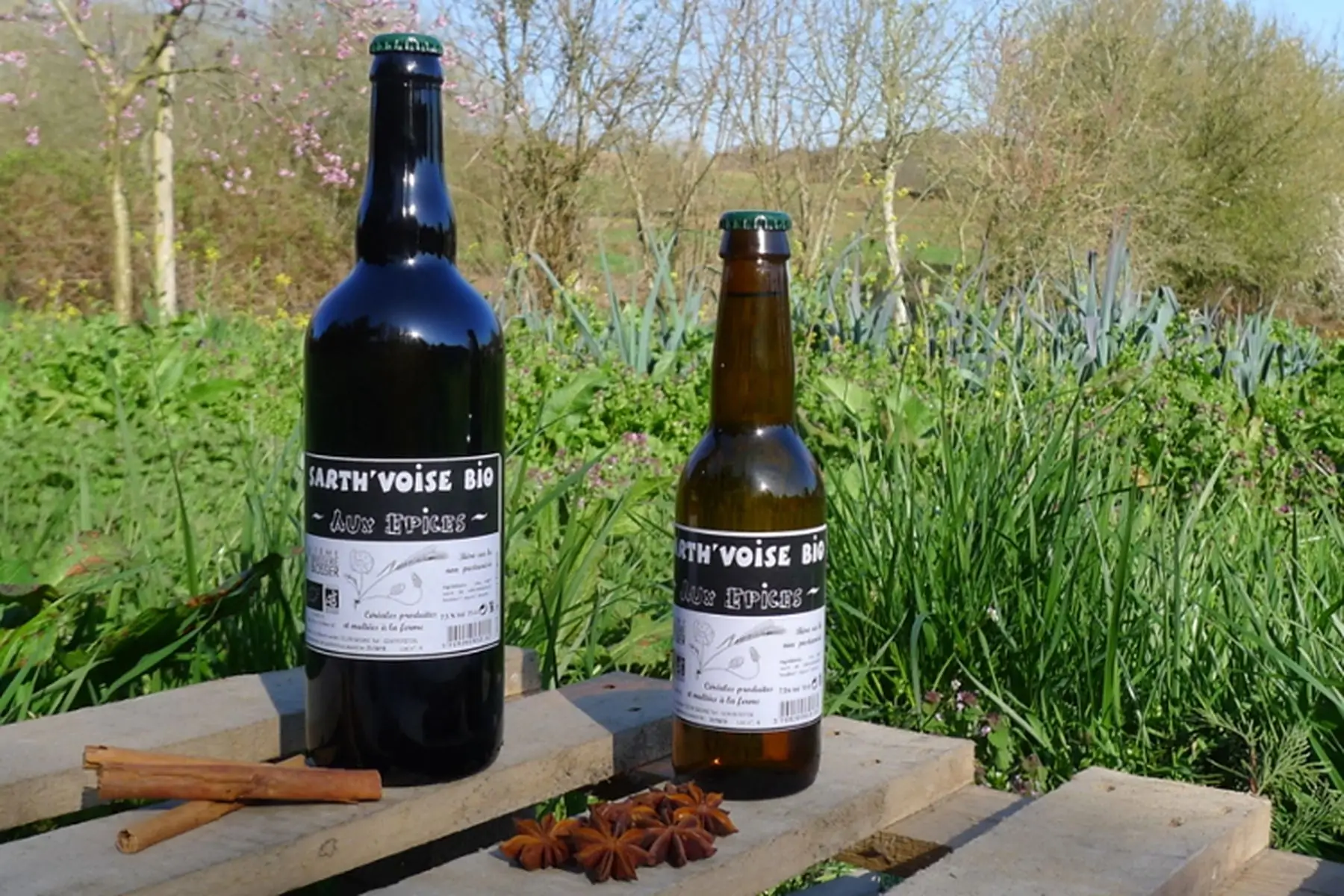 bière sarth'voise bio aux épices