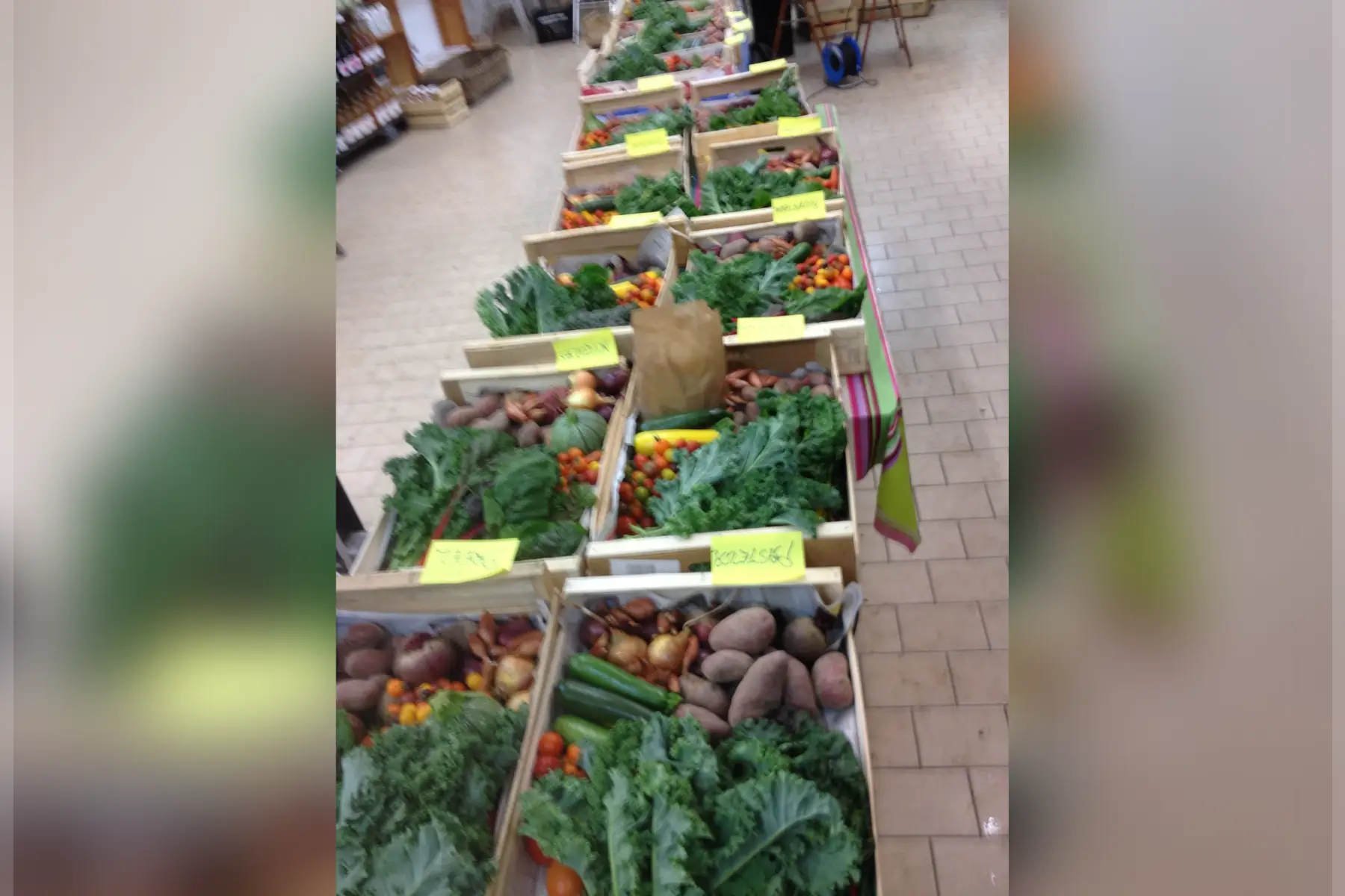 madame sandra vallon