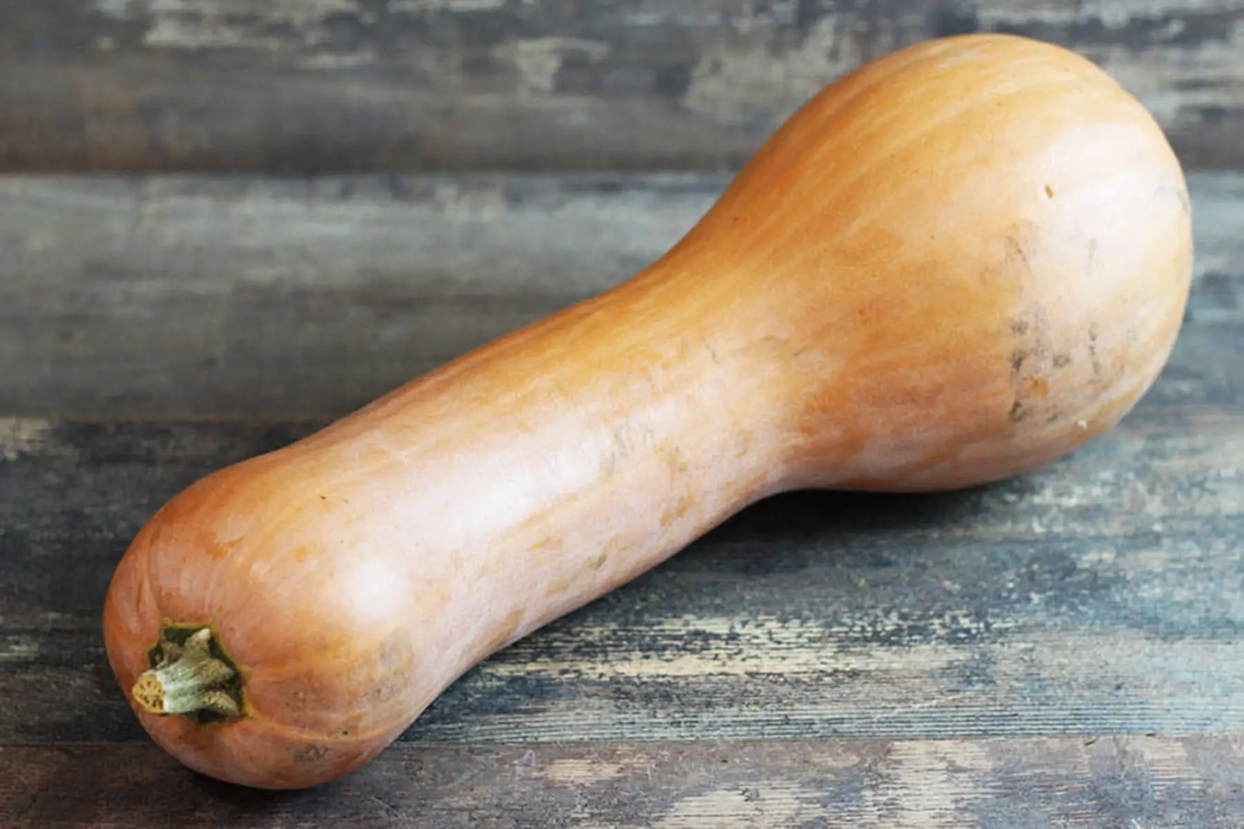 courge longue de nice