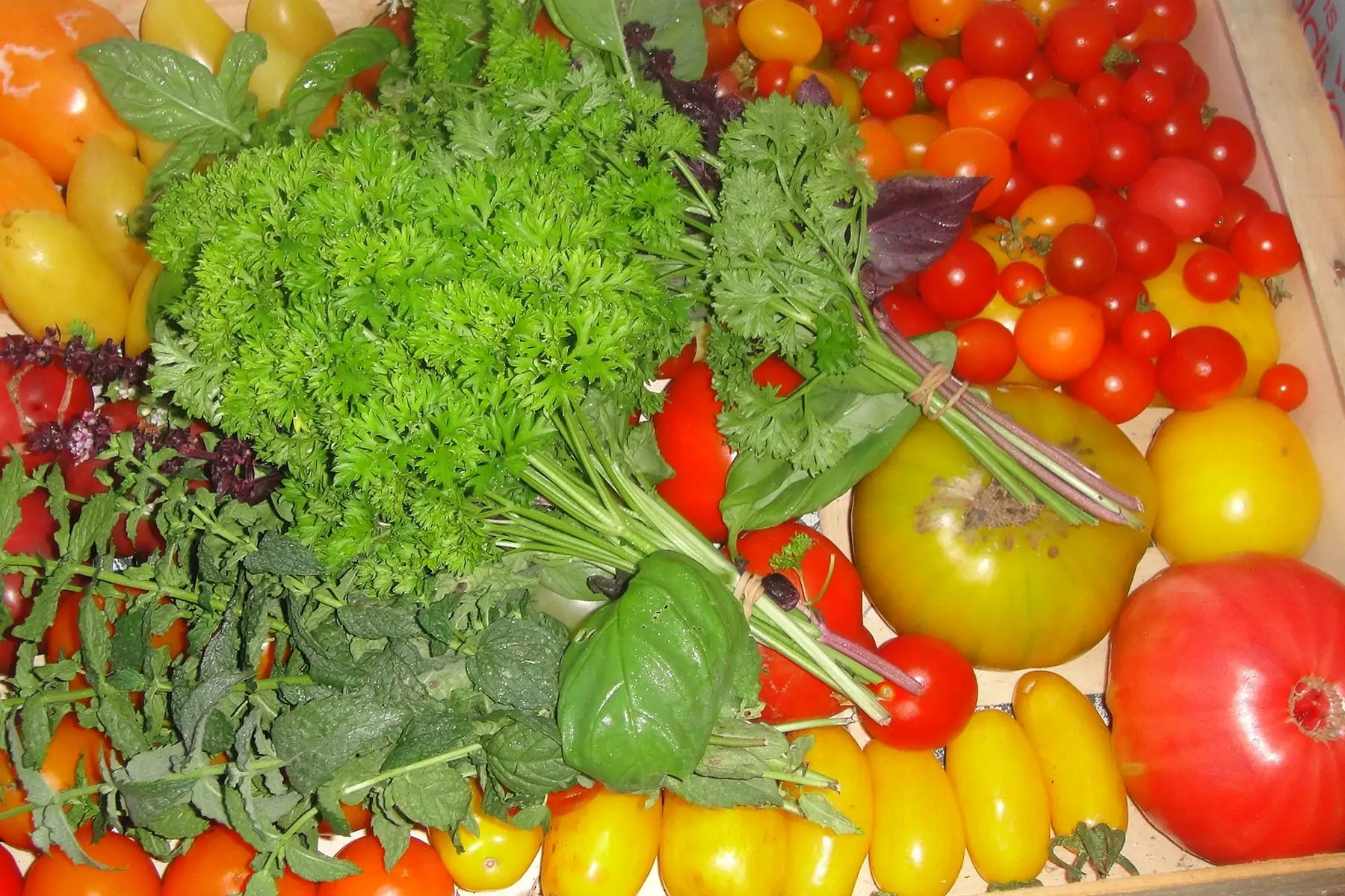 le panier de saison 20€