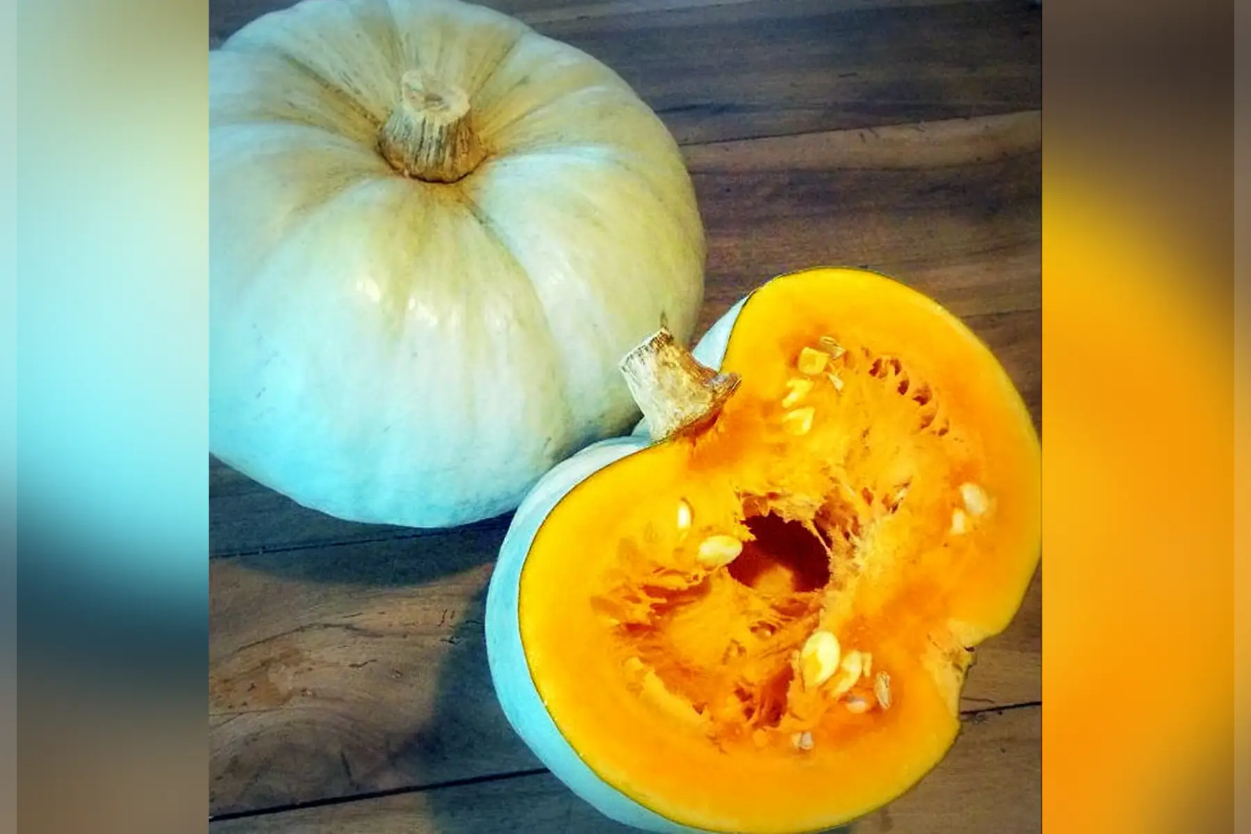 courge bleu de hongrie