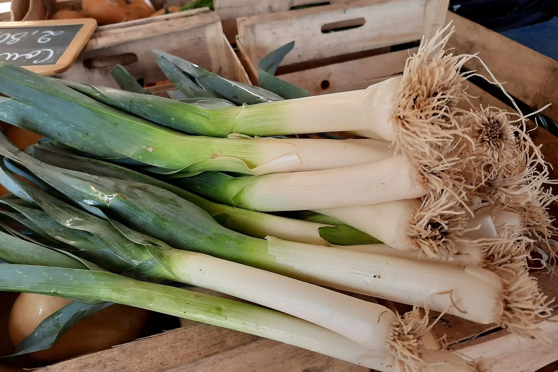 poireaux