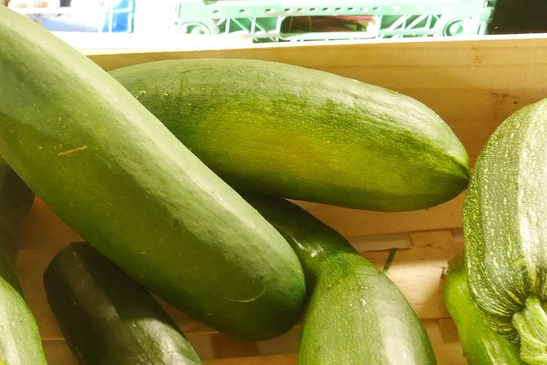 courgettes