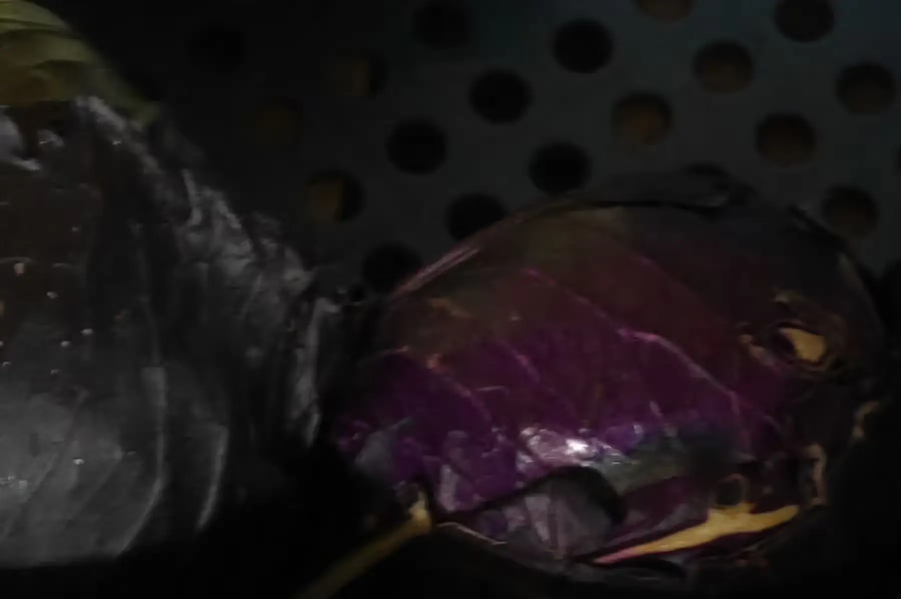 Association des amis de Notre Dame du Chène