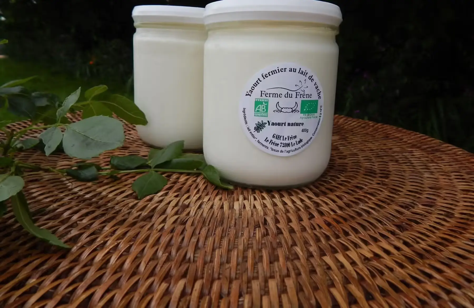 yaourt nature