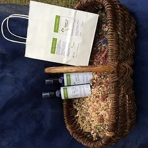 madame frederique marcadet