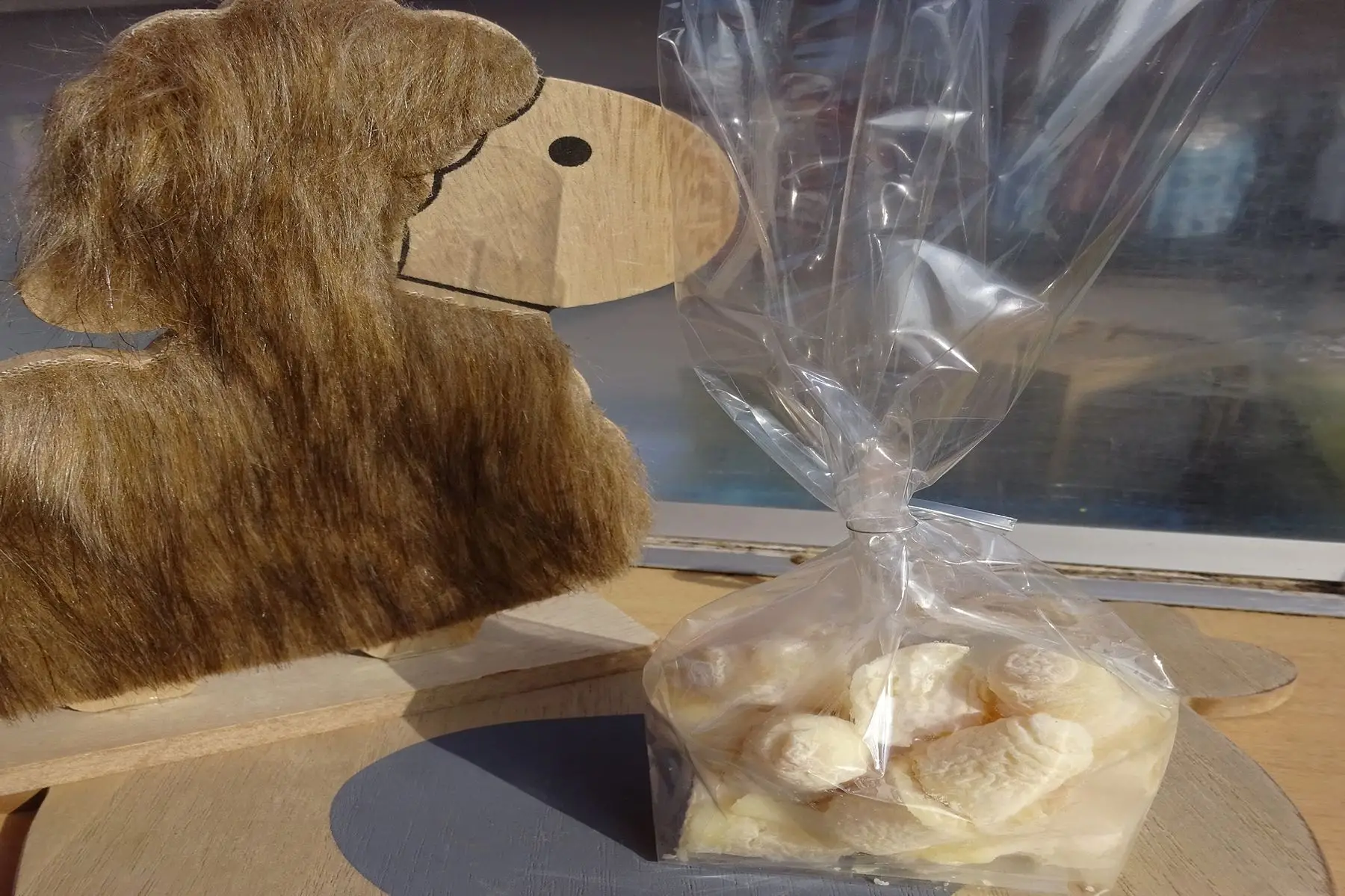 madame coraline belland