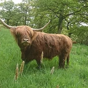 l'echappee sarthoise