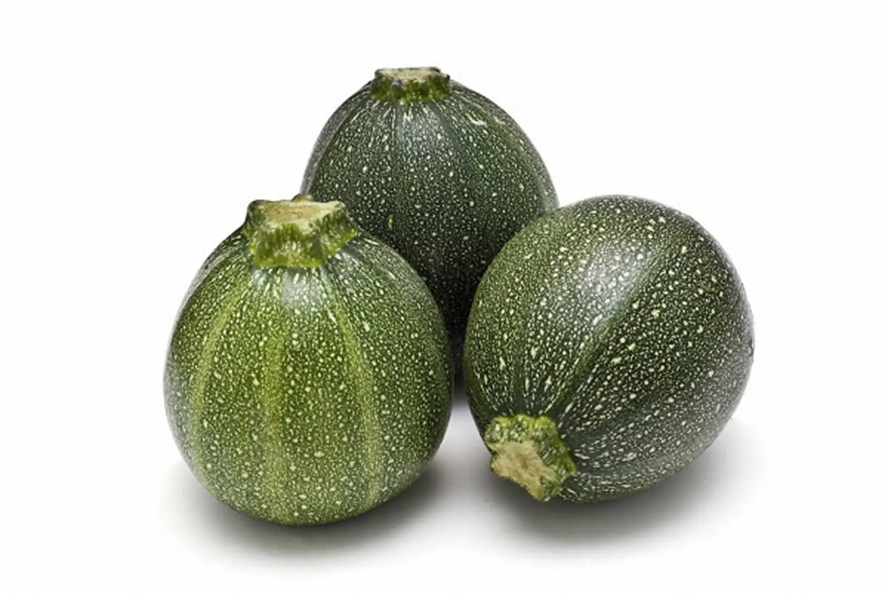 courgettes rondes vertes