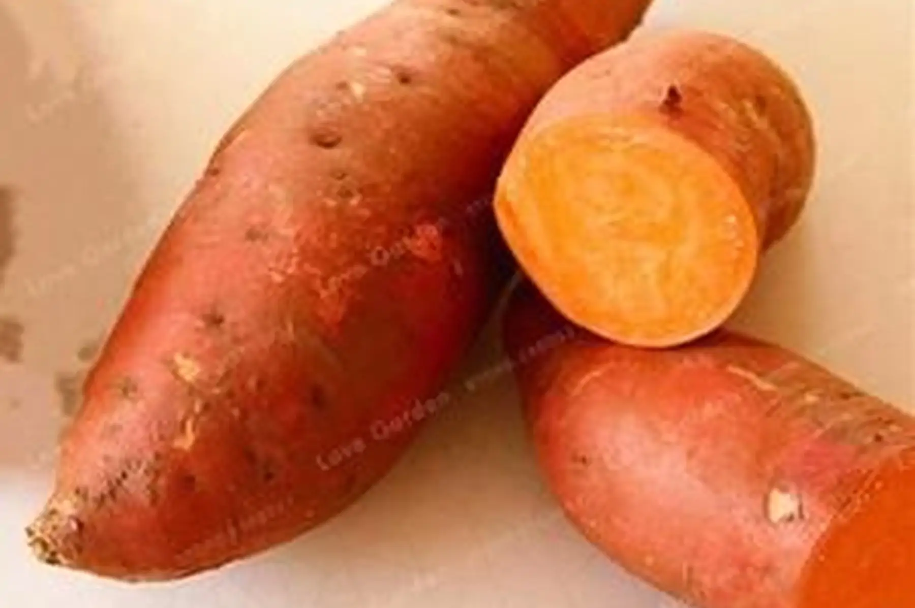 patate douce