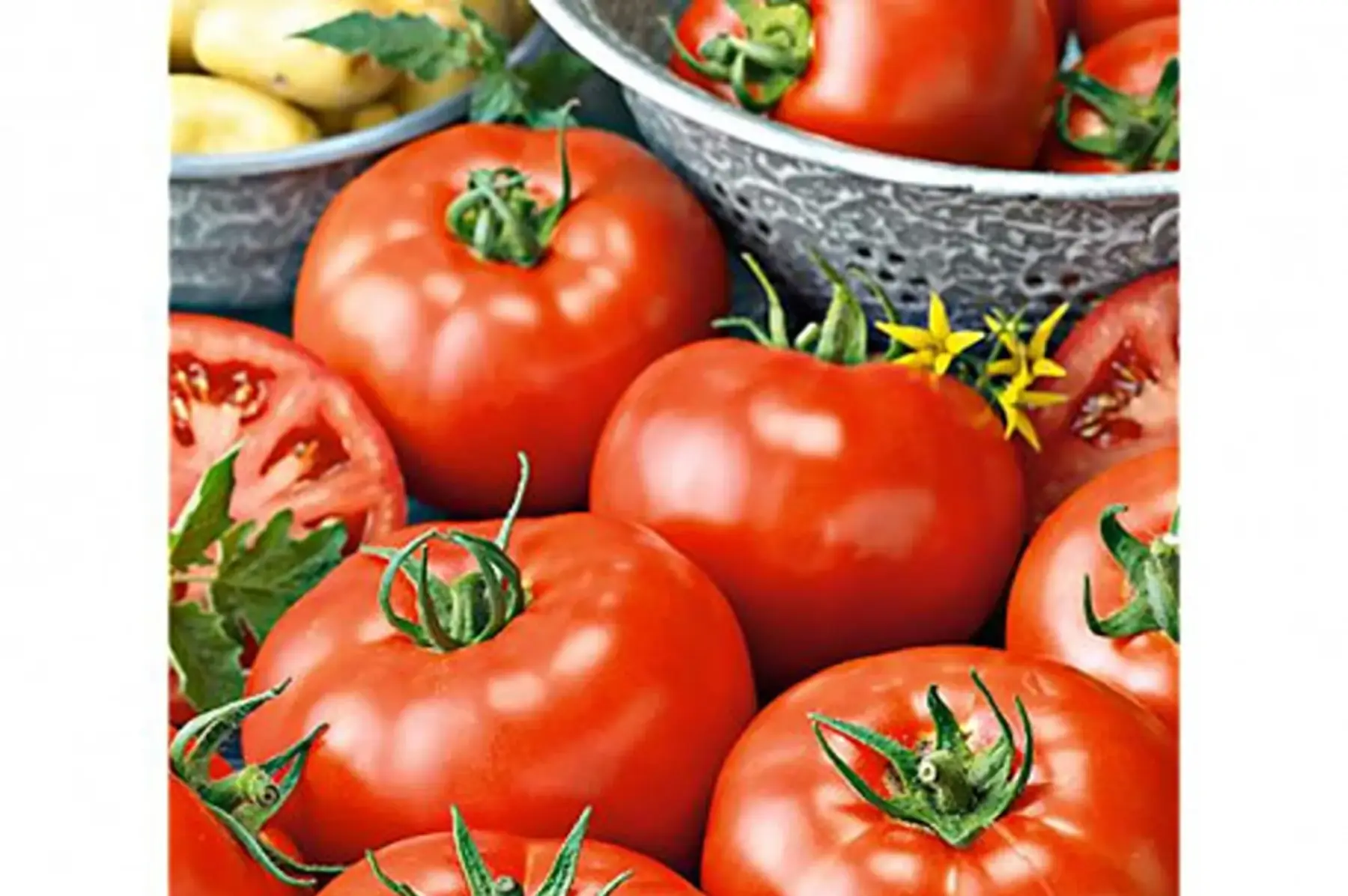 tomates rondes promo 3 kg
