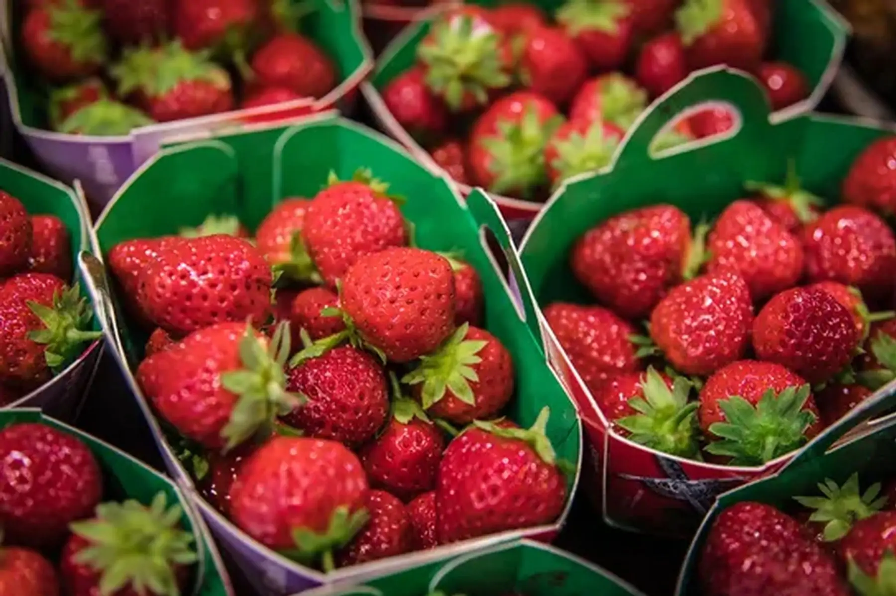 fraises