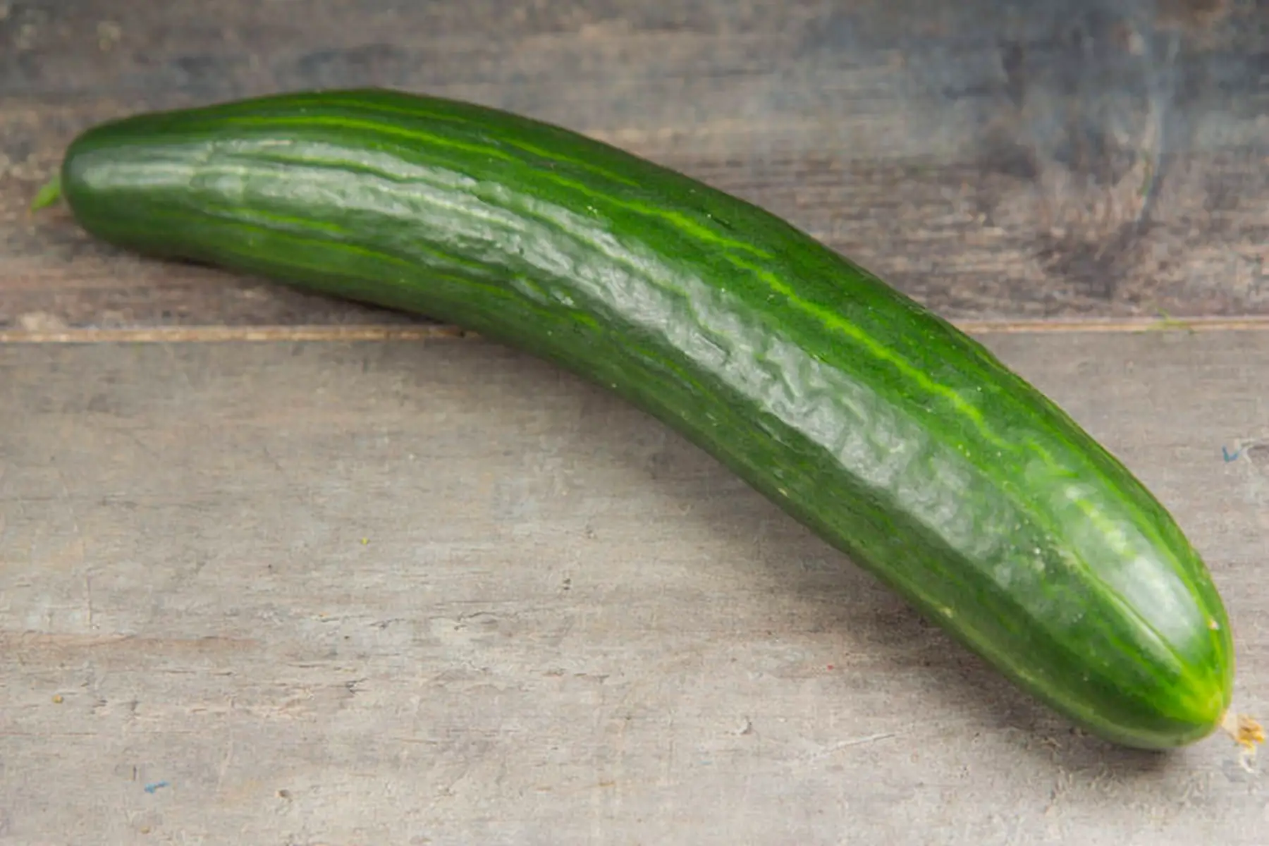 concombre long