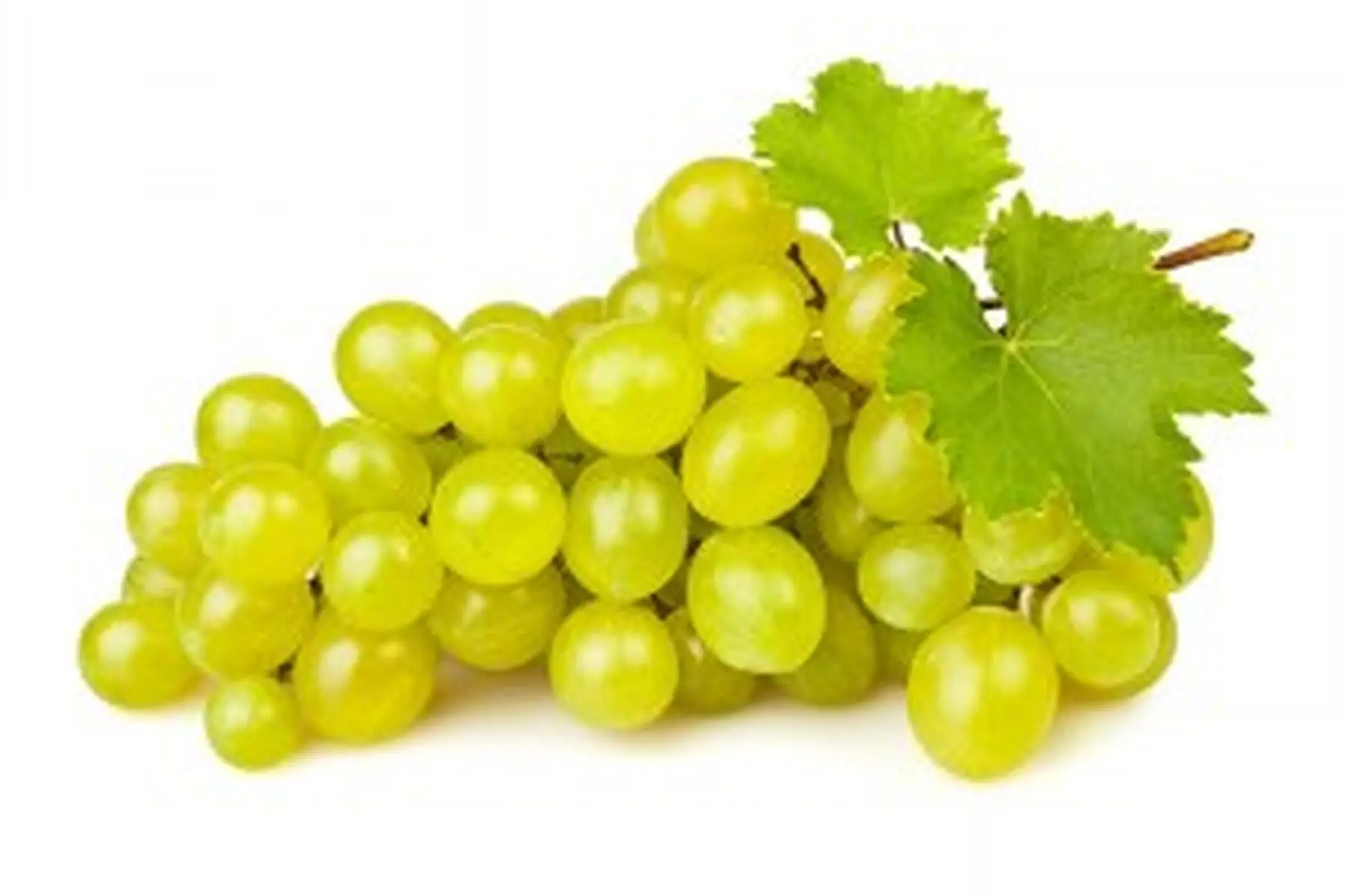 raisin blanc
