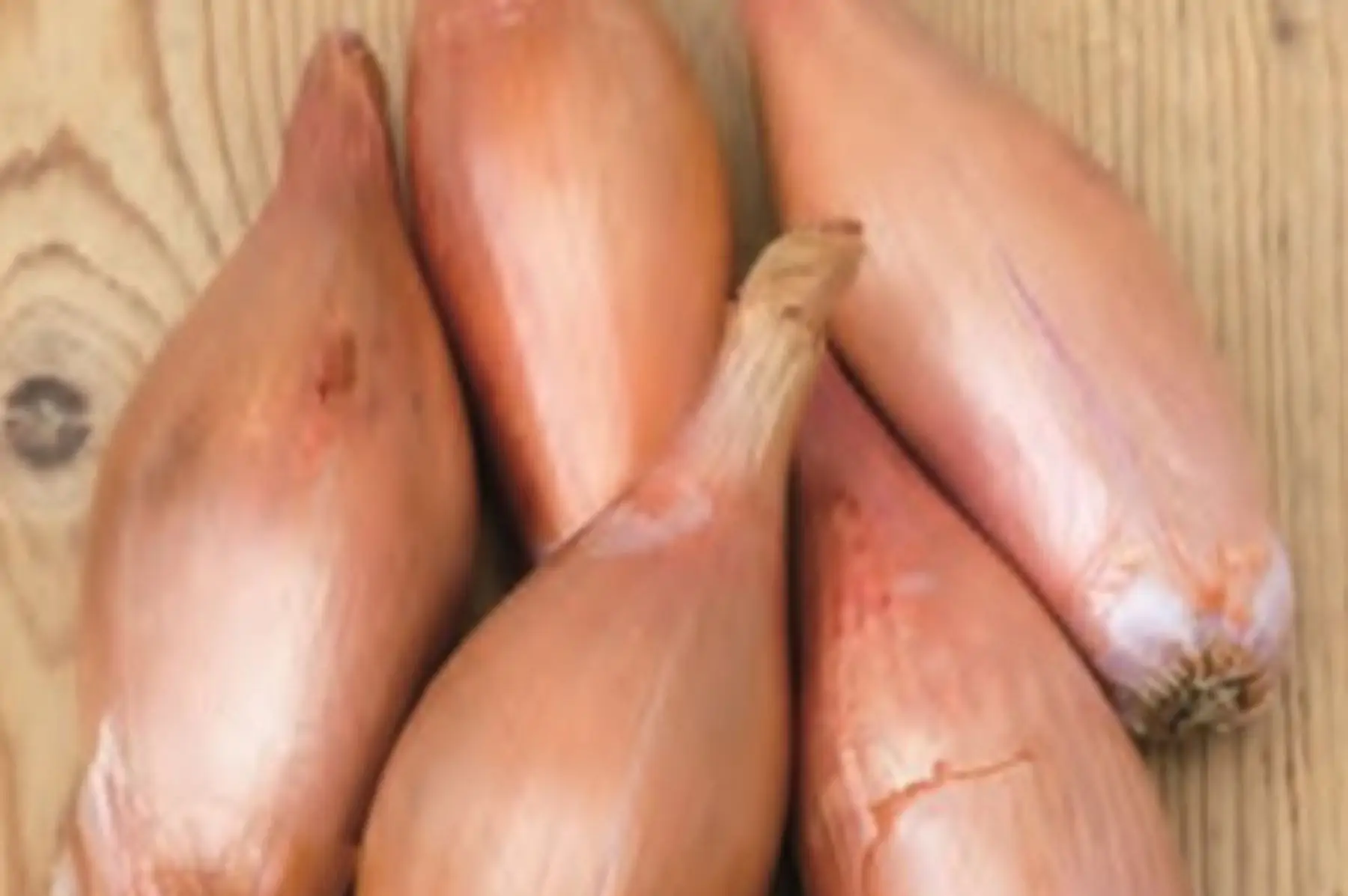 oignon rosé