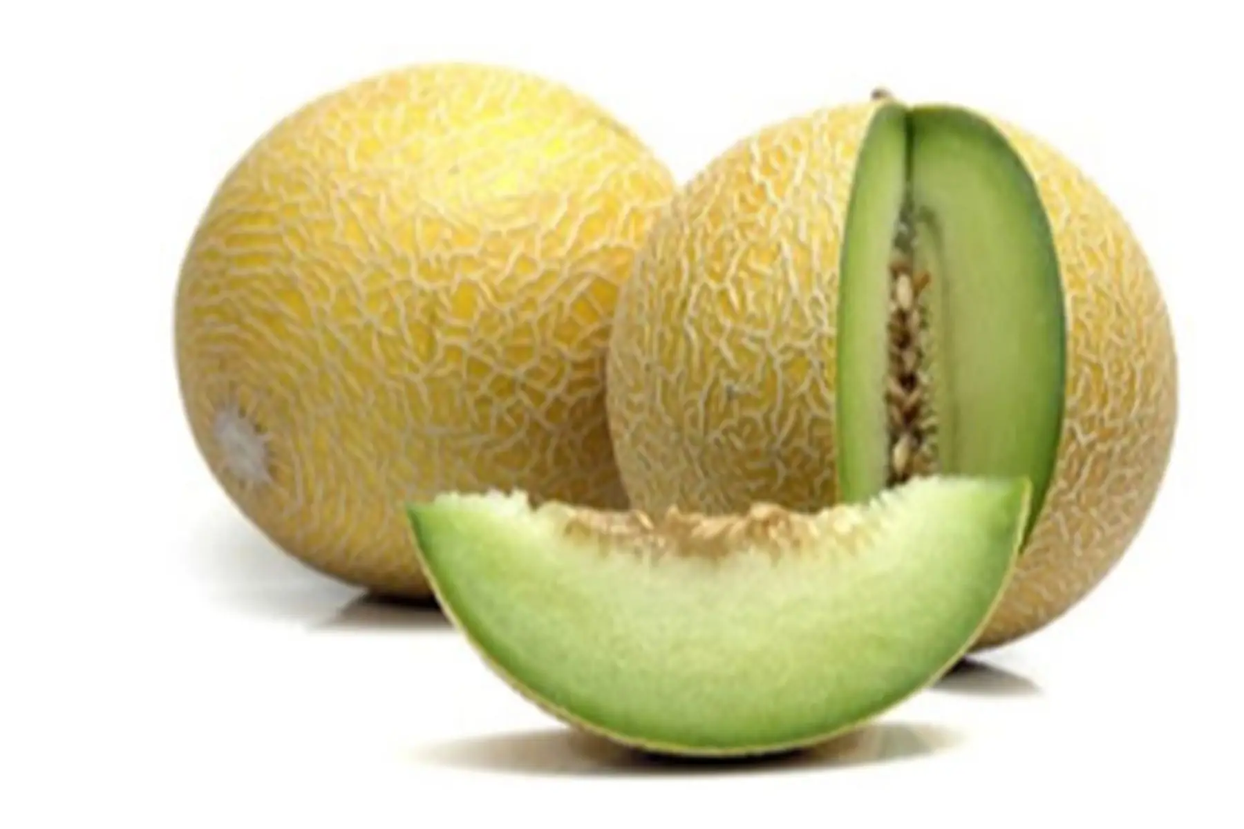 melon boule d'or