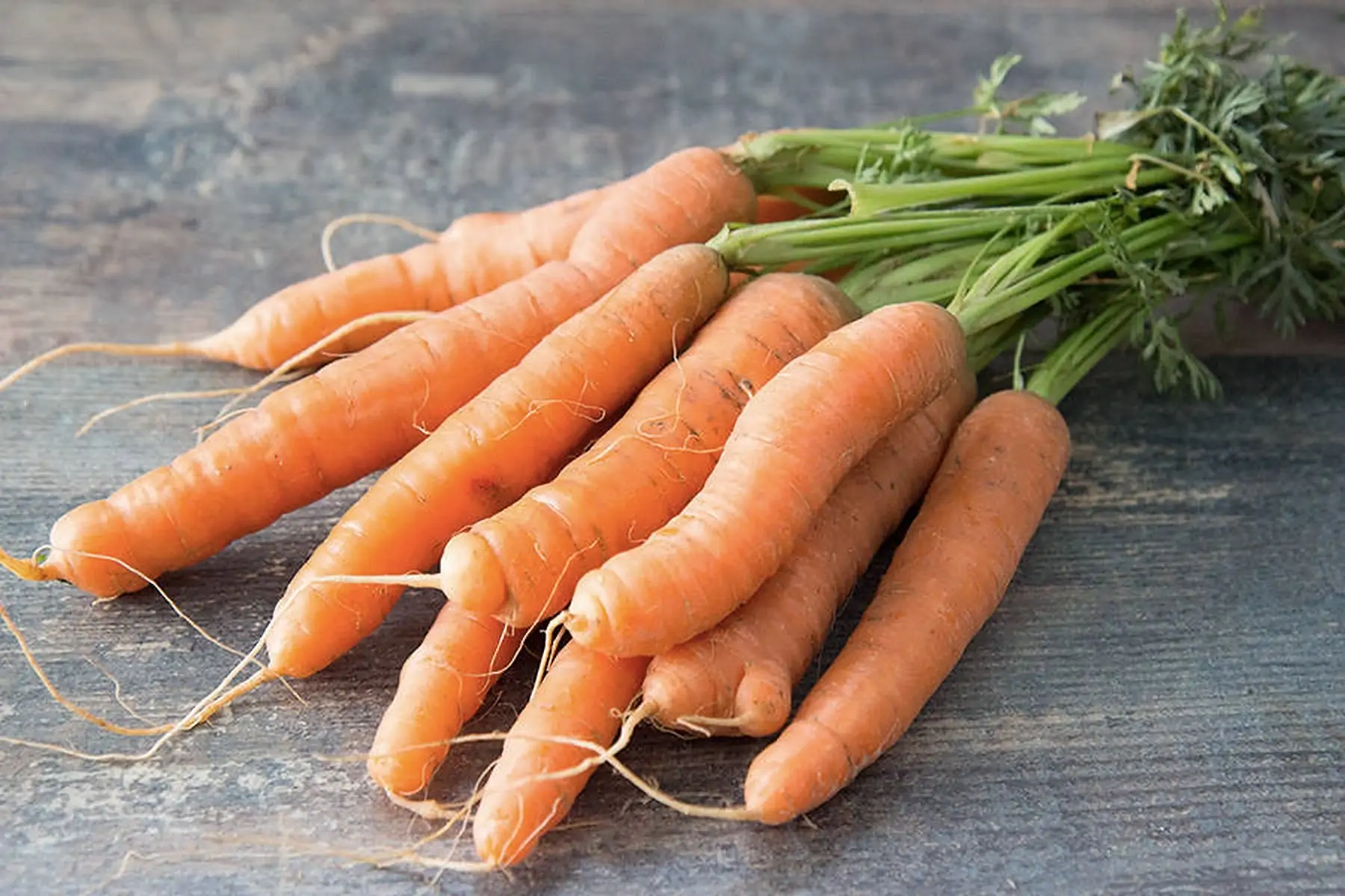 carottes orange