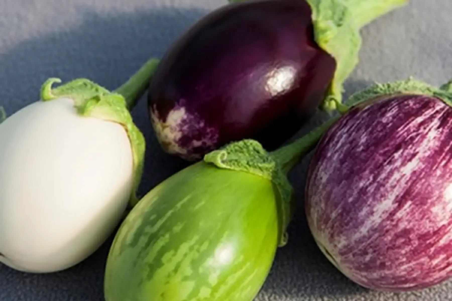 aubergine mini
