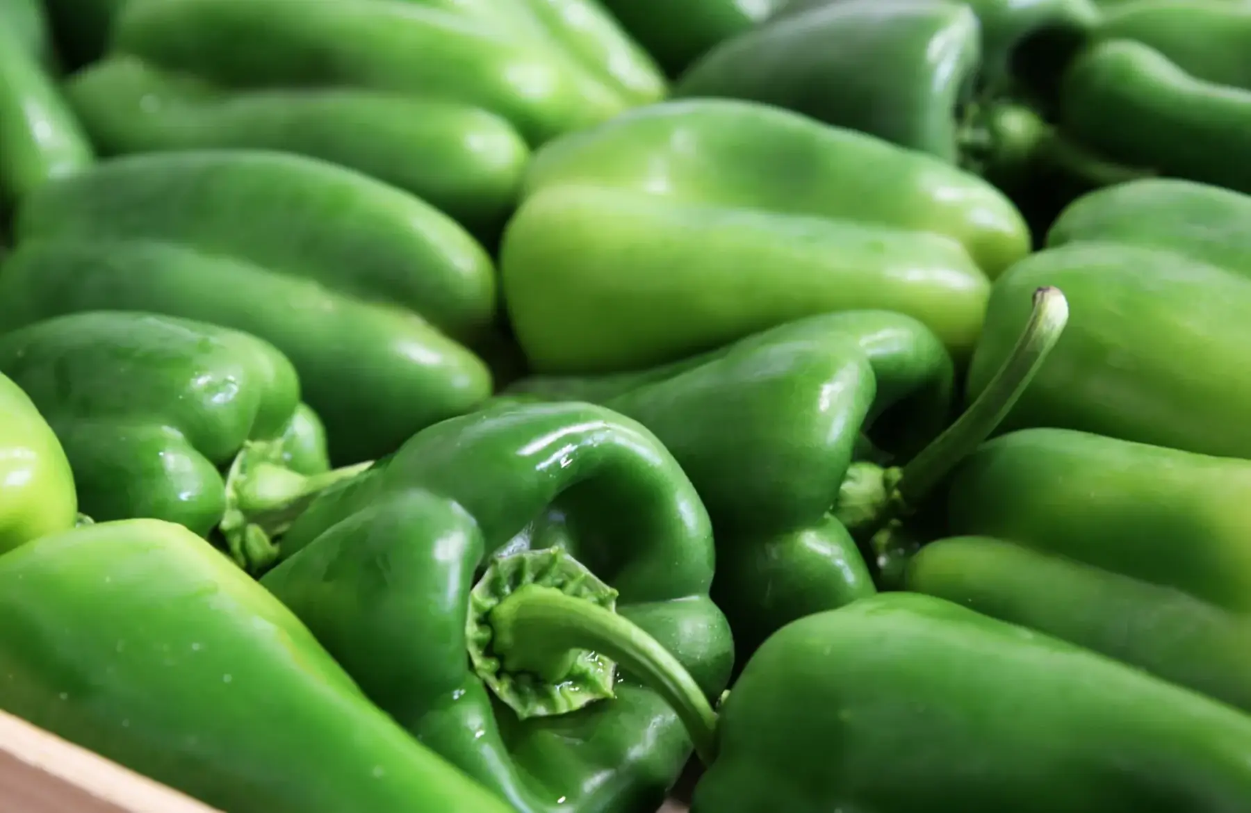 promo poivrons verts/couleurs mix 1 acheté = 1kg offert