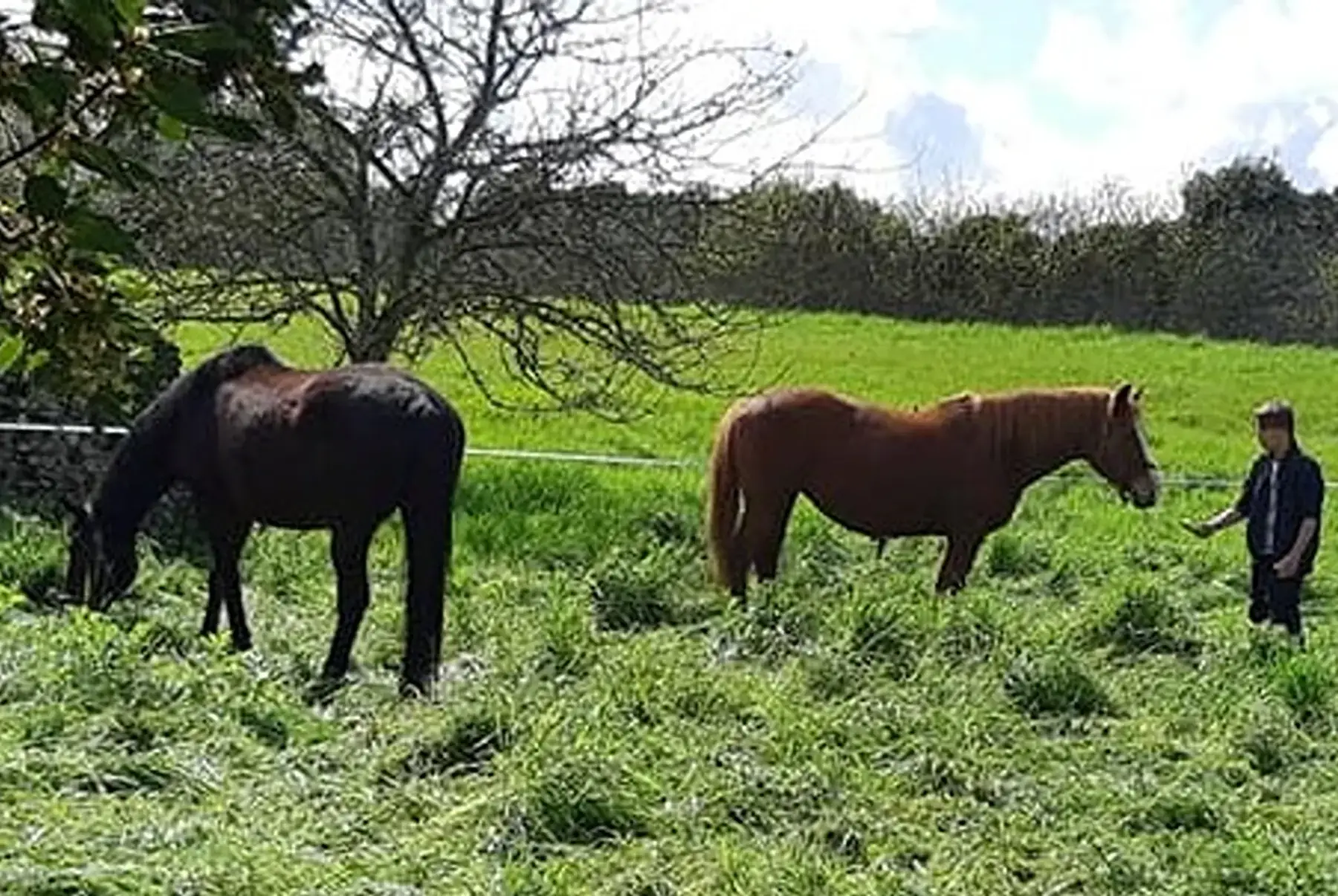 SCEA La bergerie de flo