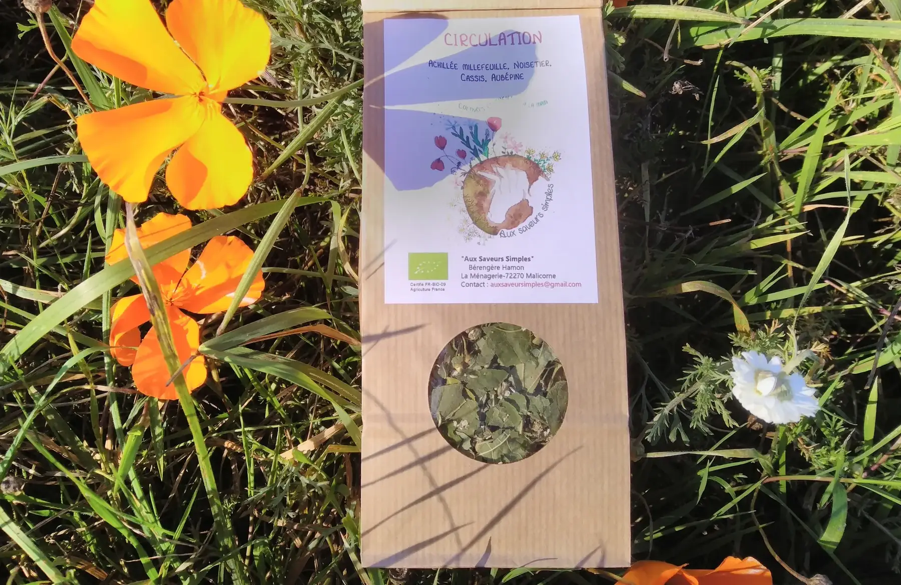 tisane "circulation"