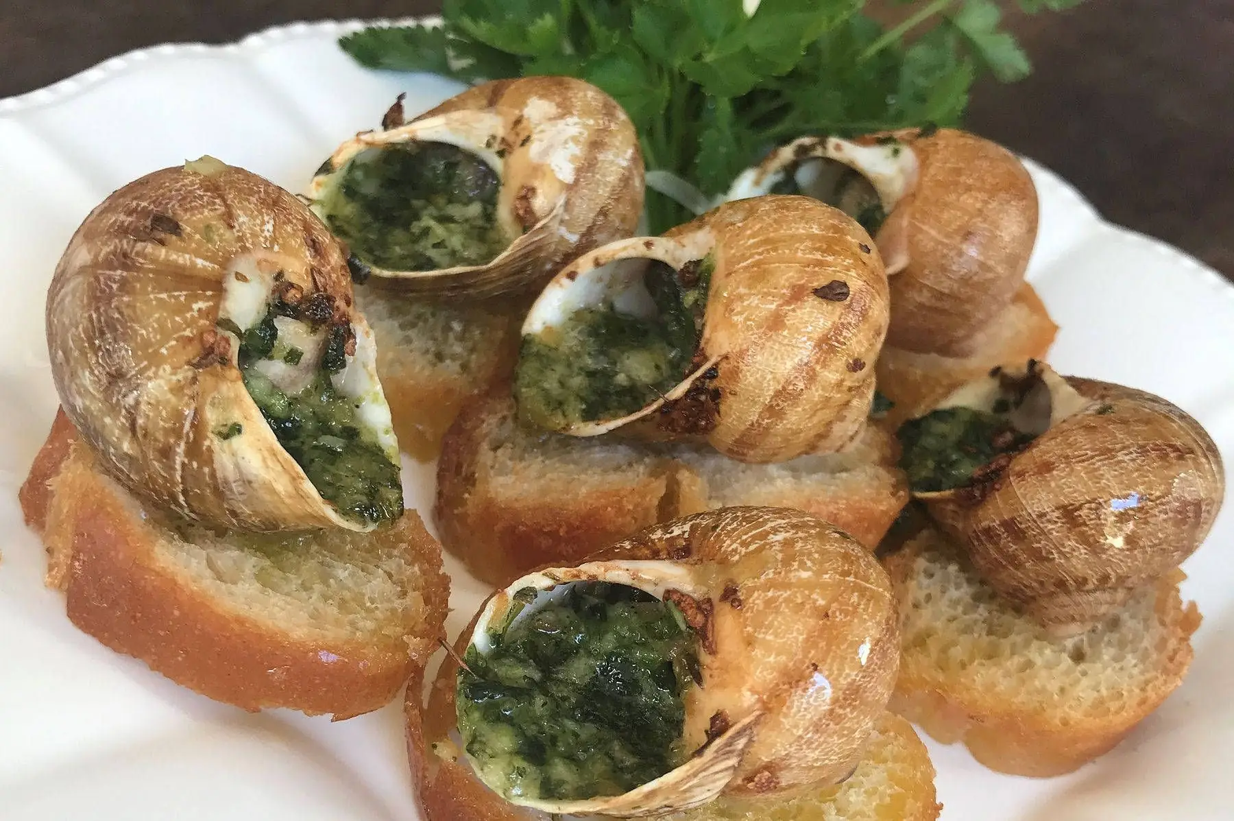 escargots
