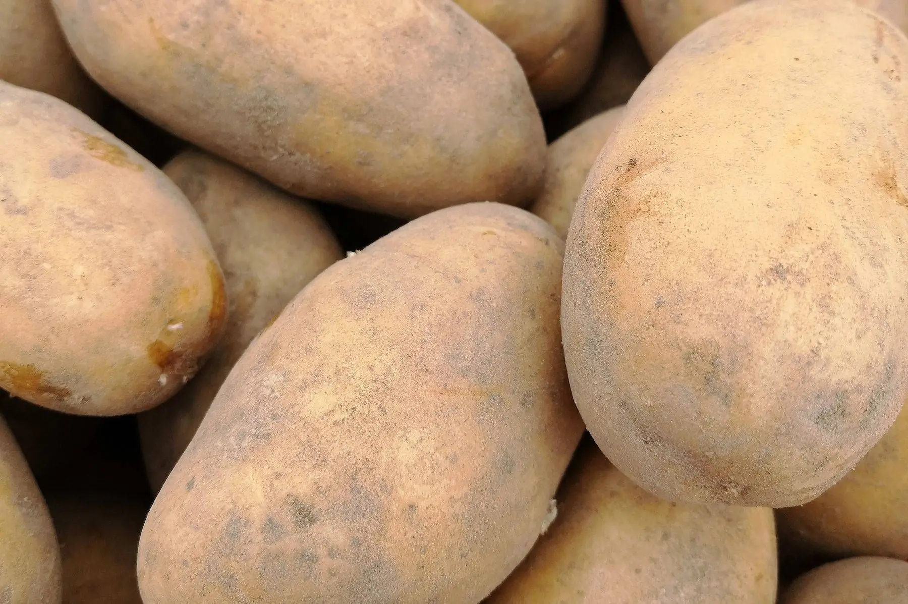 lot de 3kg de pommes de terres fermes