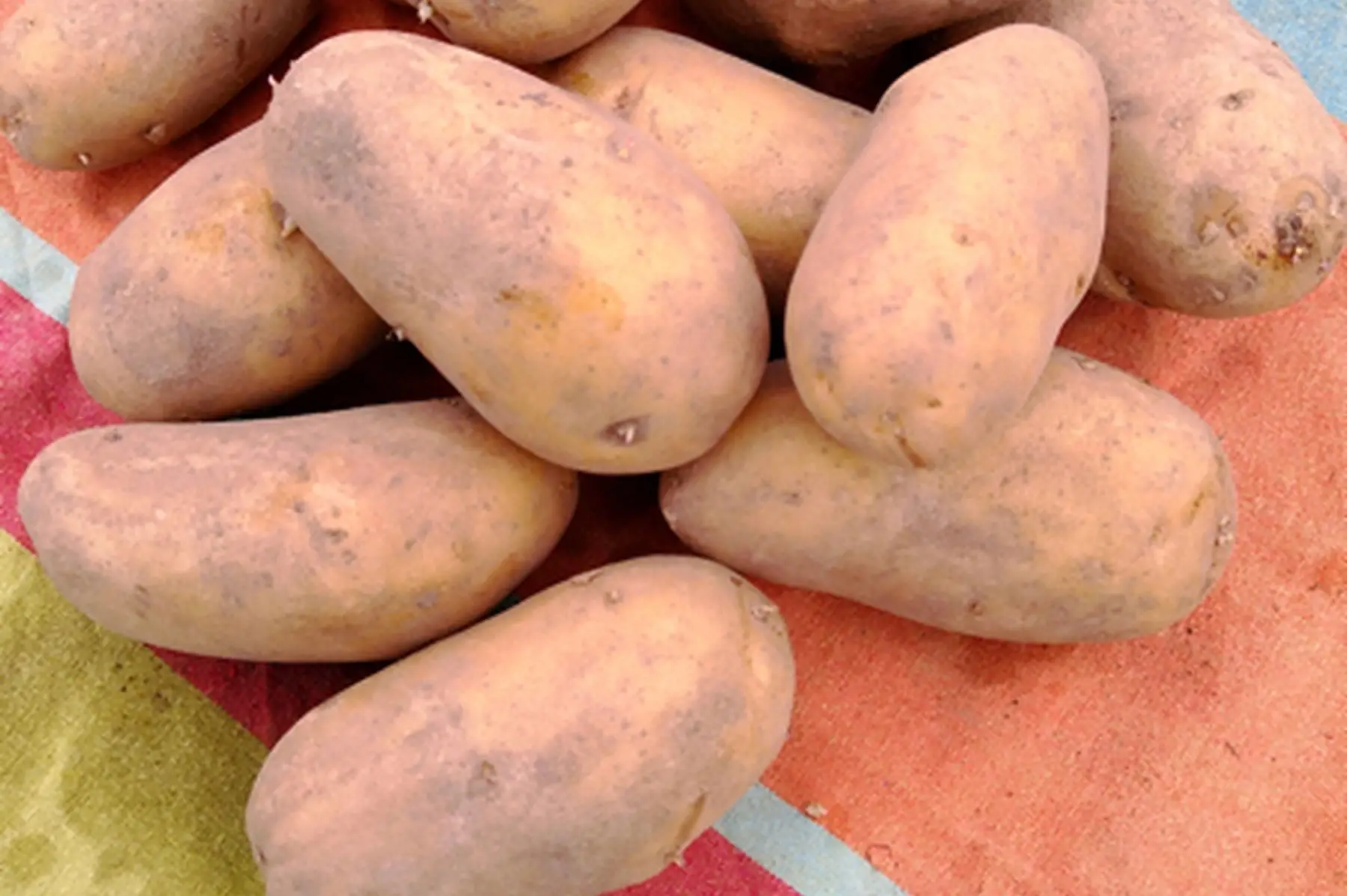 pommes de terre purée