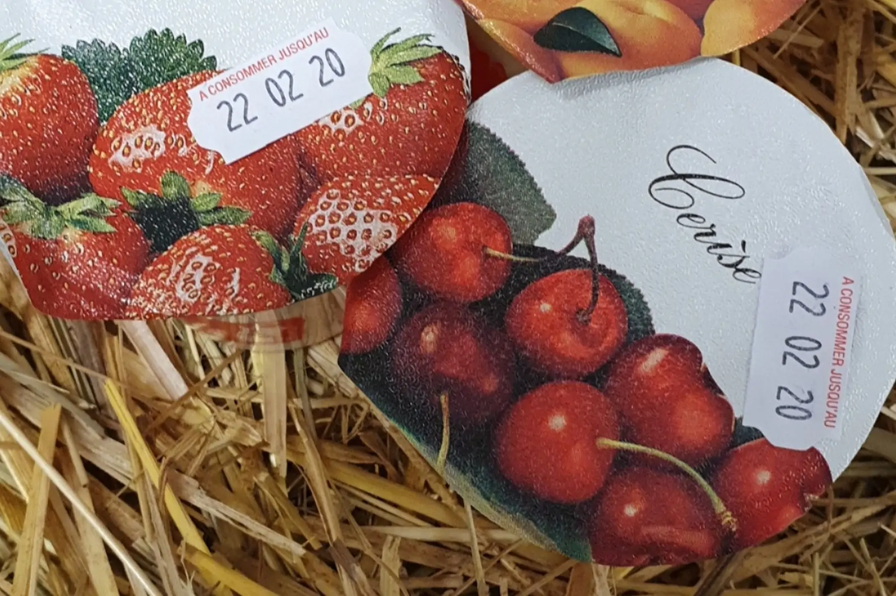 yaourt brassé aux morceaux de fruits