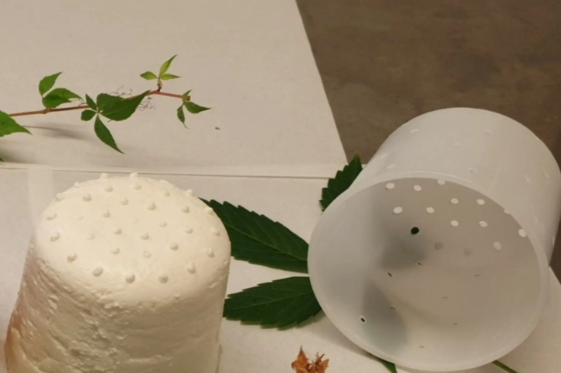 fromage frais nature