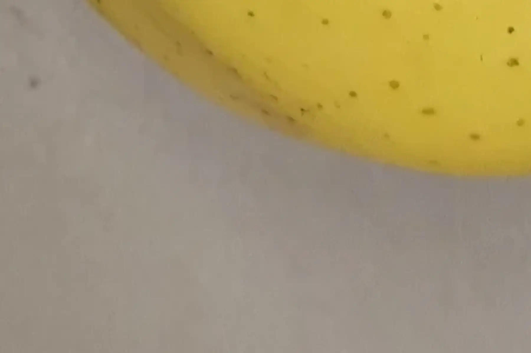 Plateau de 5kg mélange à Patisserie