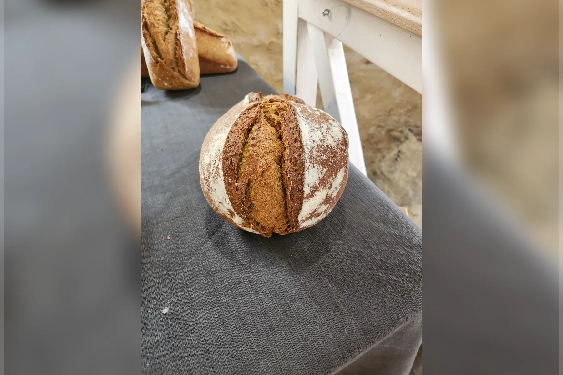 petit épeautre ou engrain