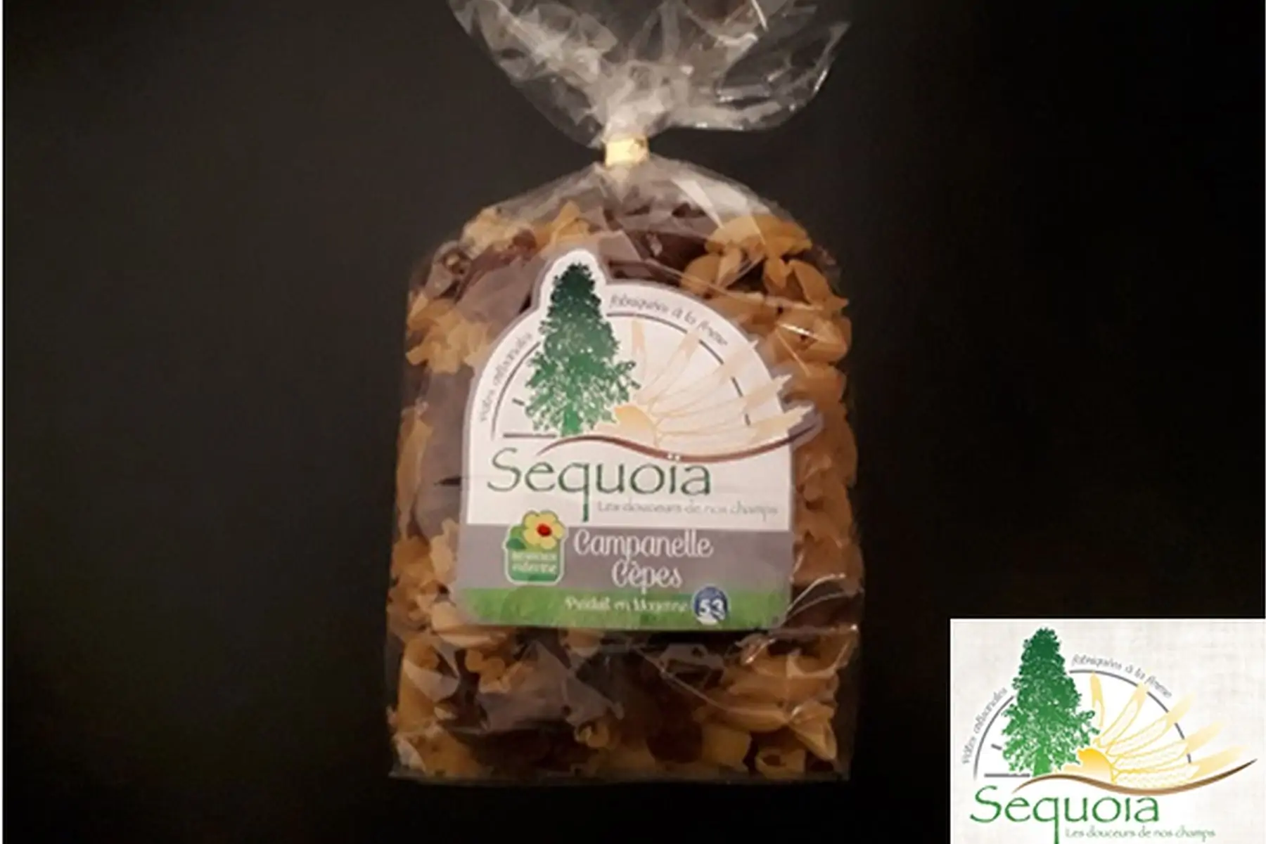 campanelle duo cèpes