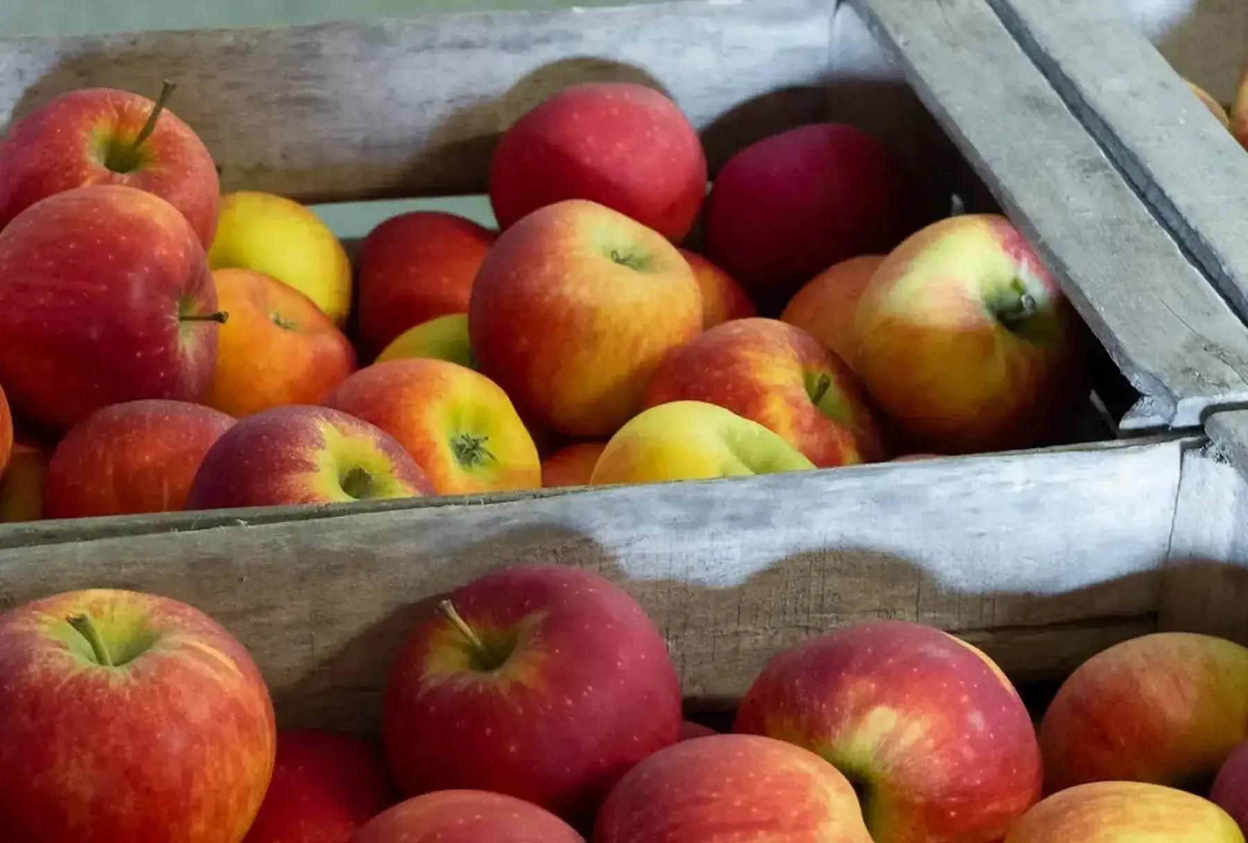 jus de pomme vergers du bel air