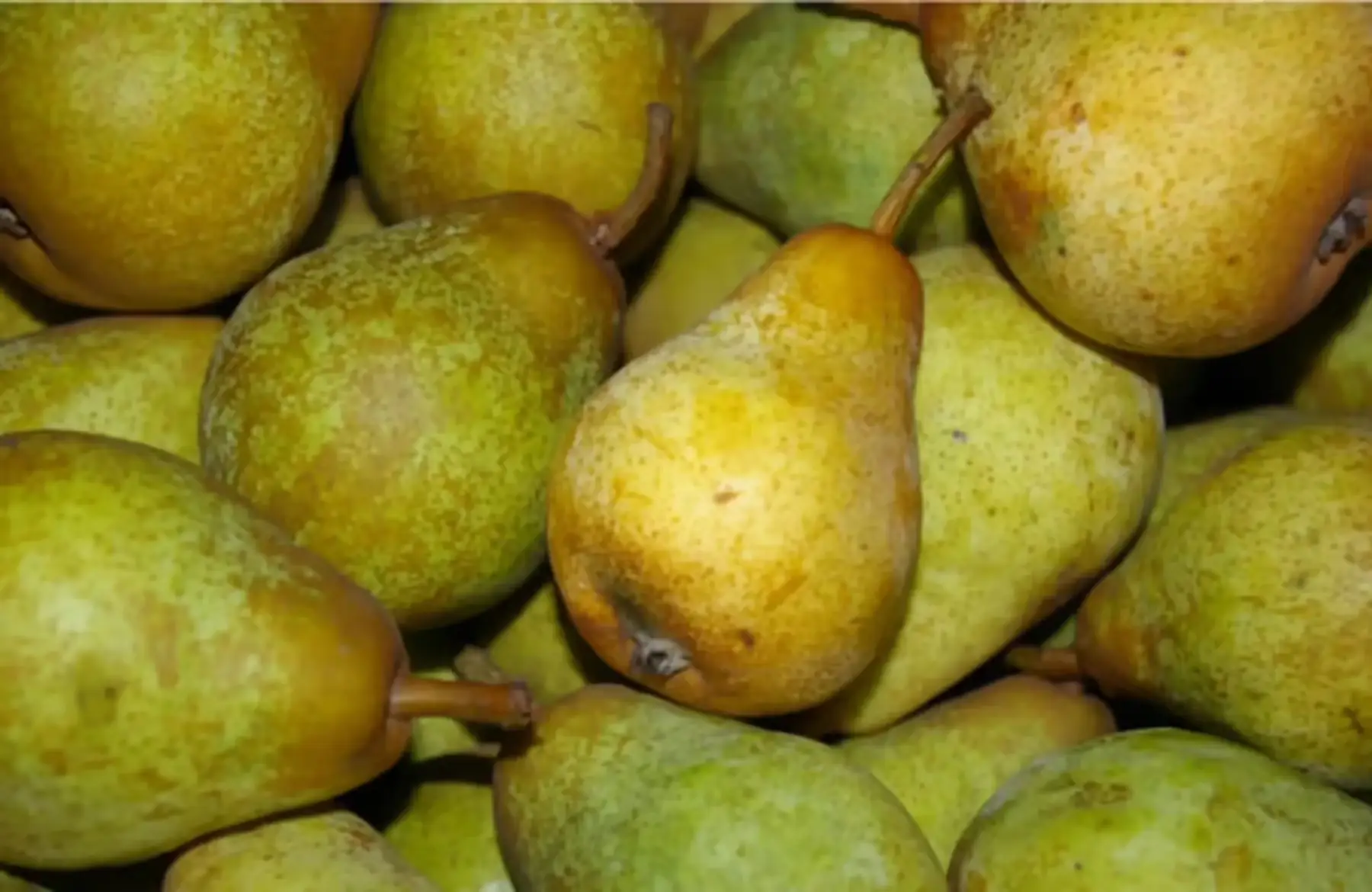 jus de pommes poires vergers du bel air