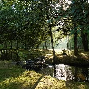 Les truites d andaure