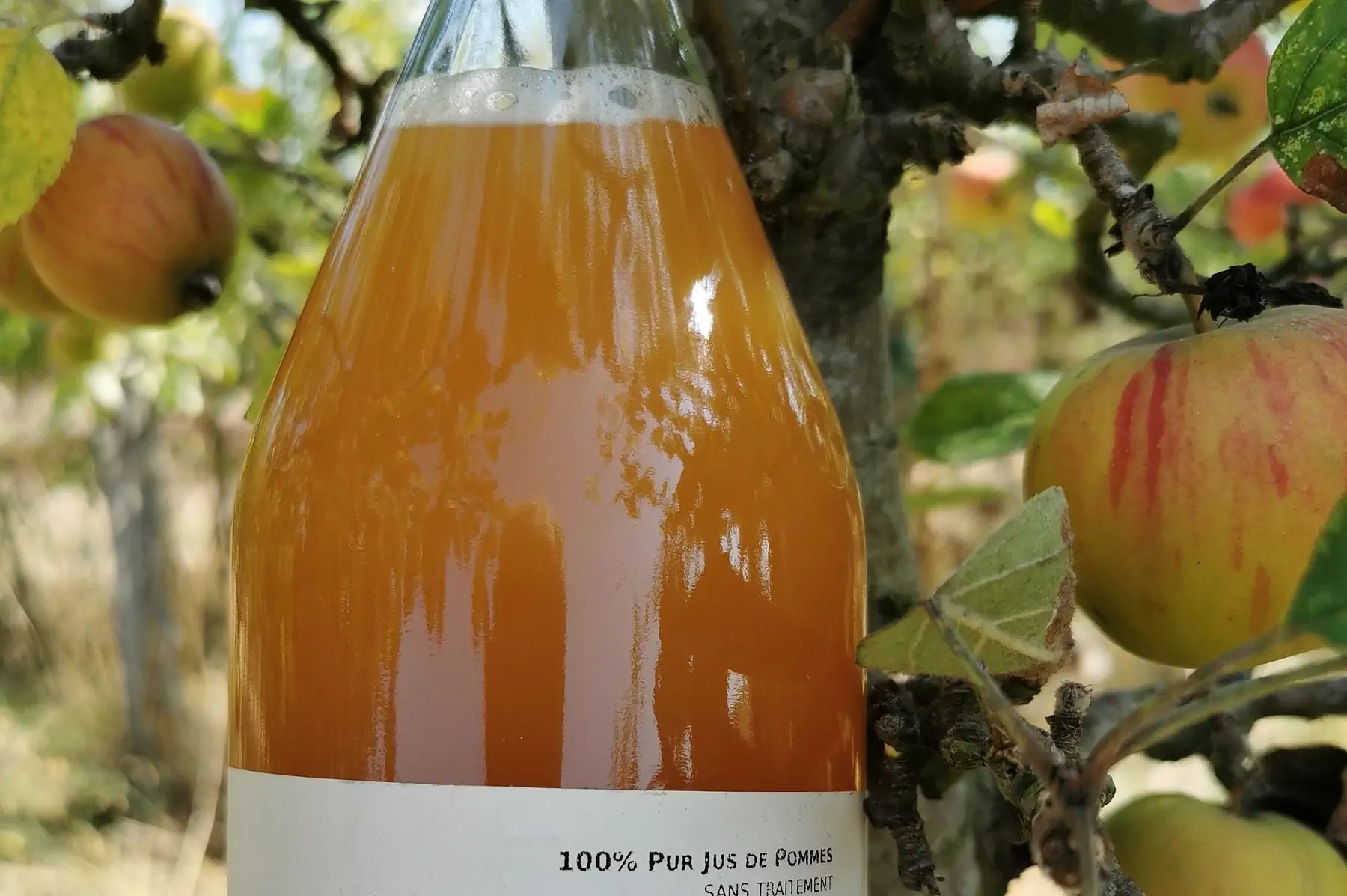 jus de pommes