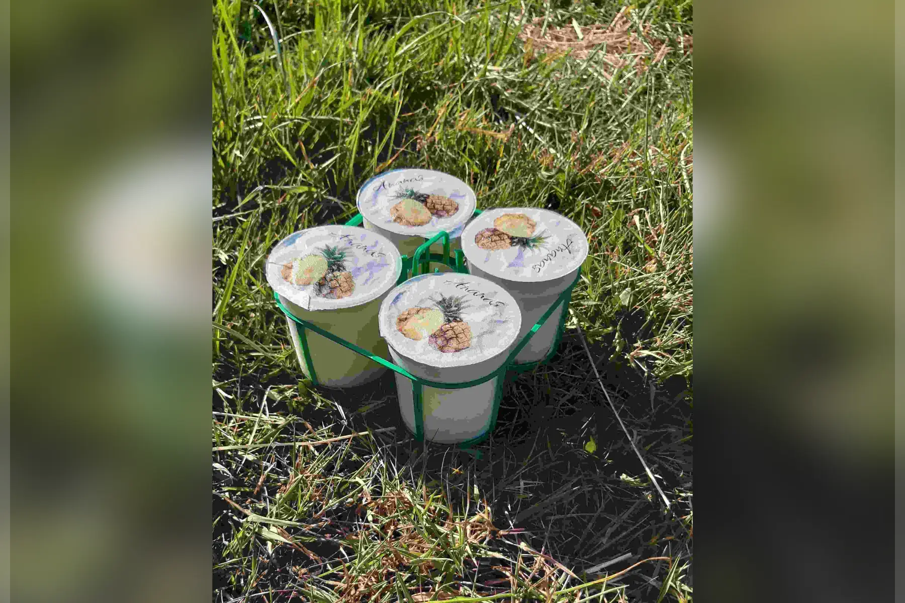 4 yaourts brassés fermier à l'ananas